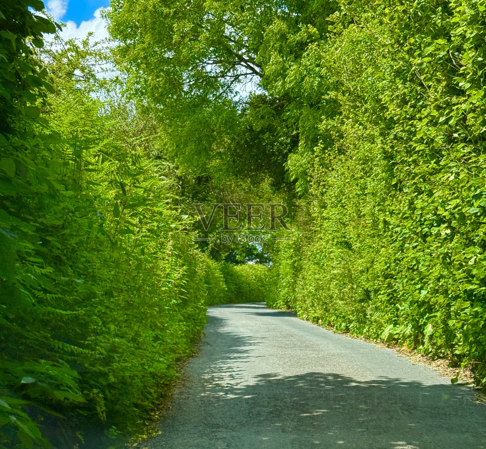 狭窄的道路照片摄影图片