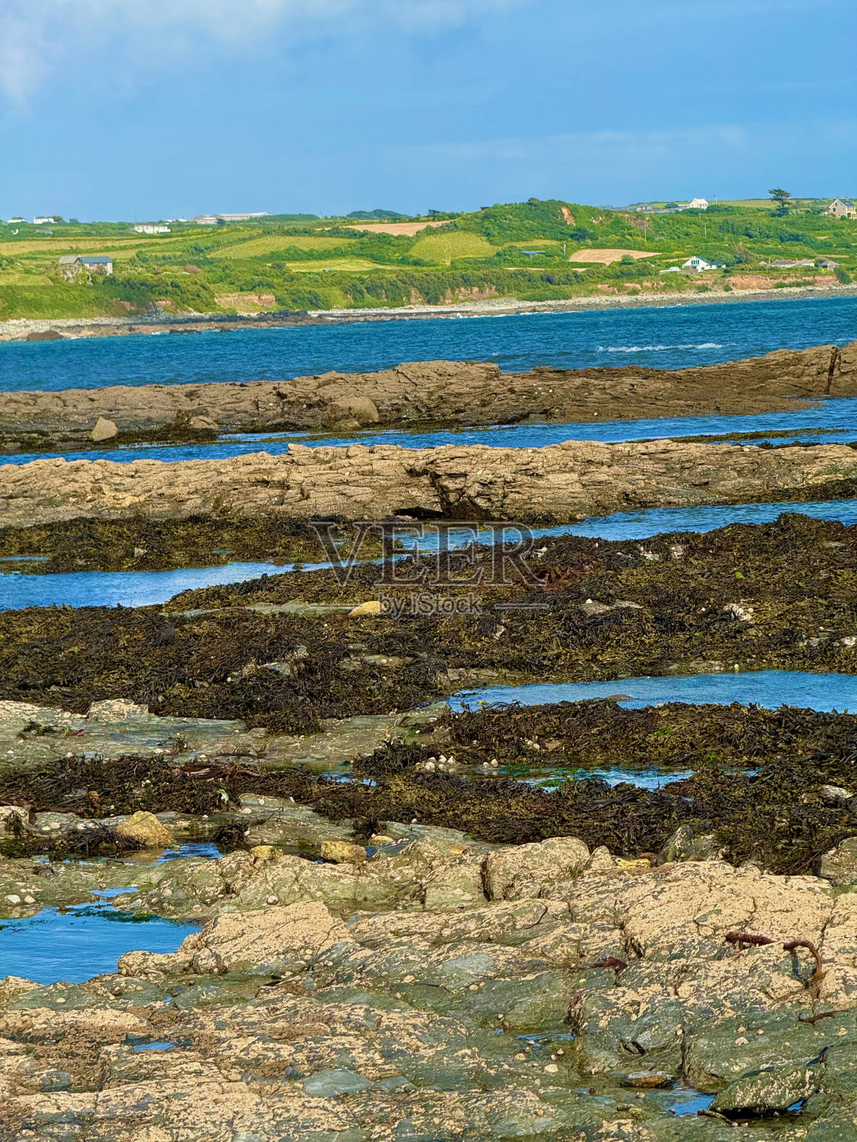 康沃尔的低潮照片摄影图片