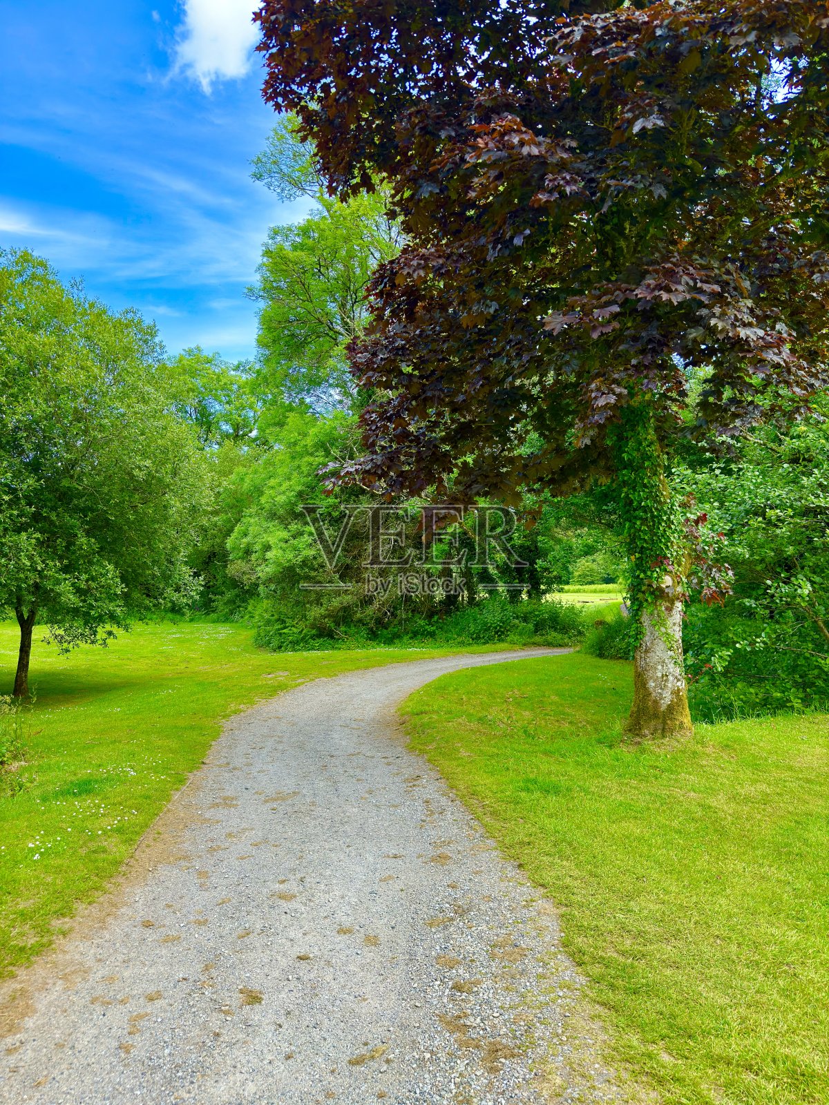 达特穆尔国家公园，德文郡照片摄影图片