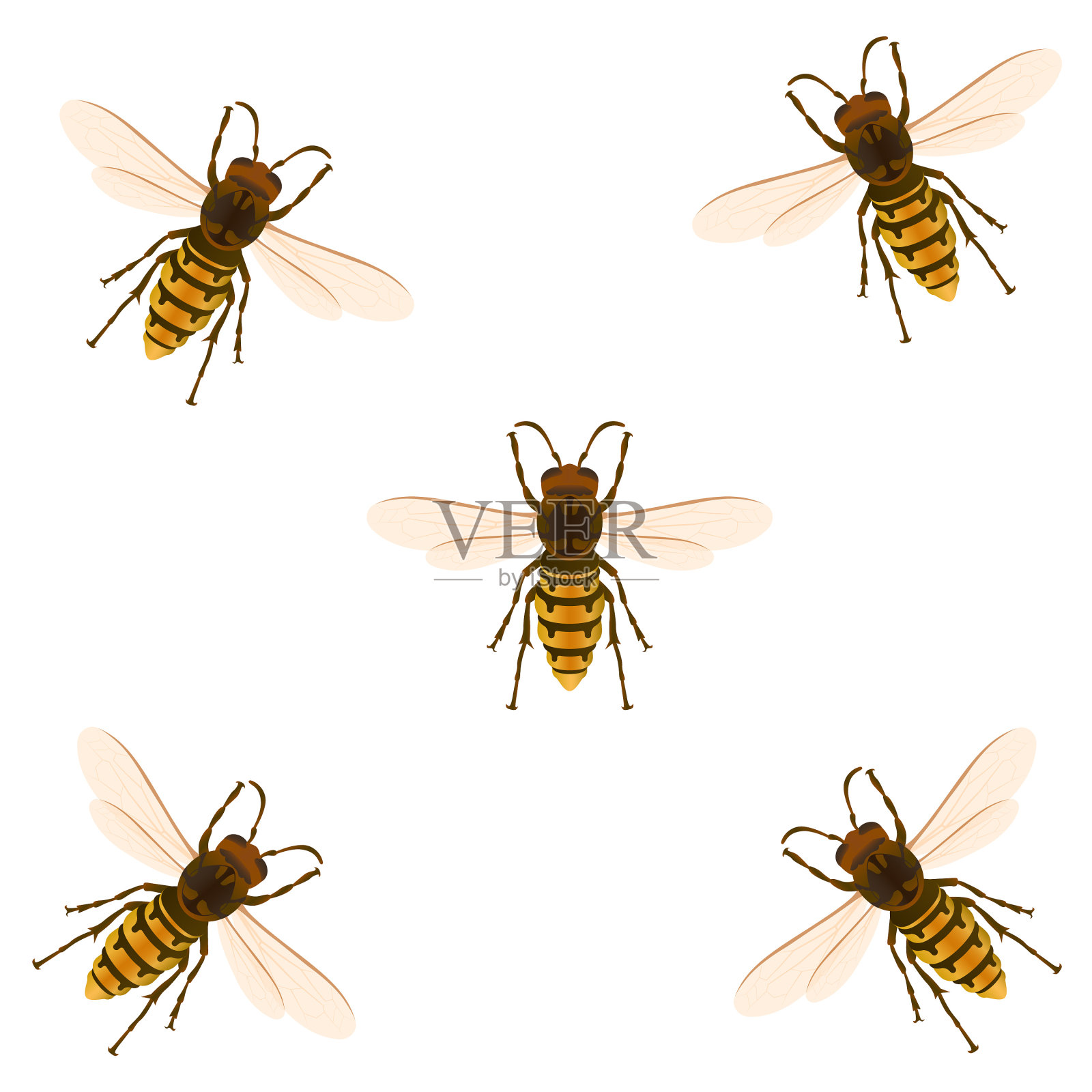黄蜂矢量图插画图片素材