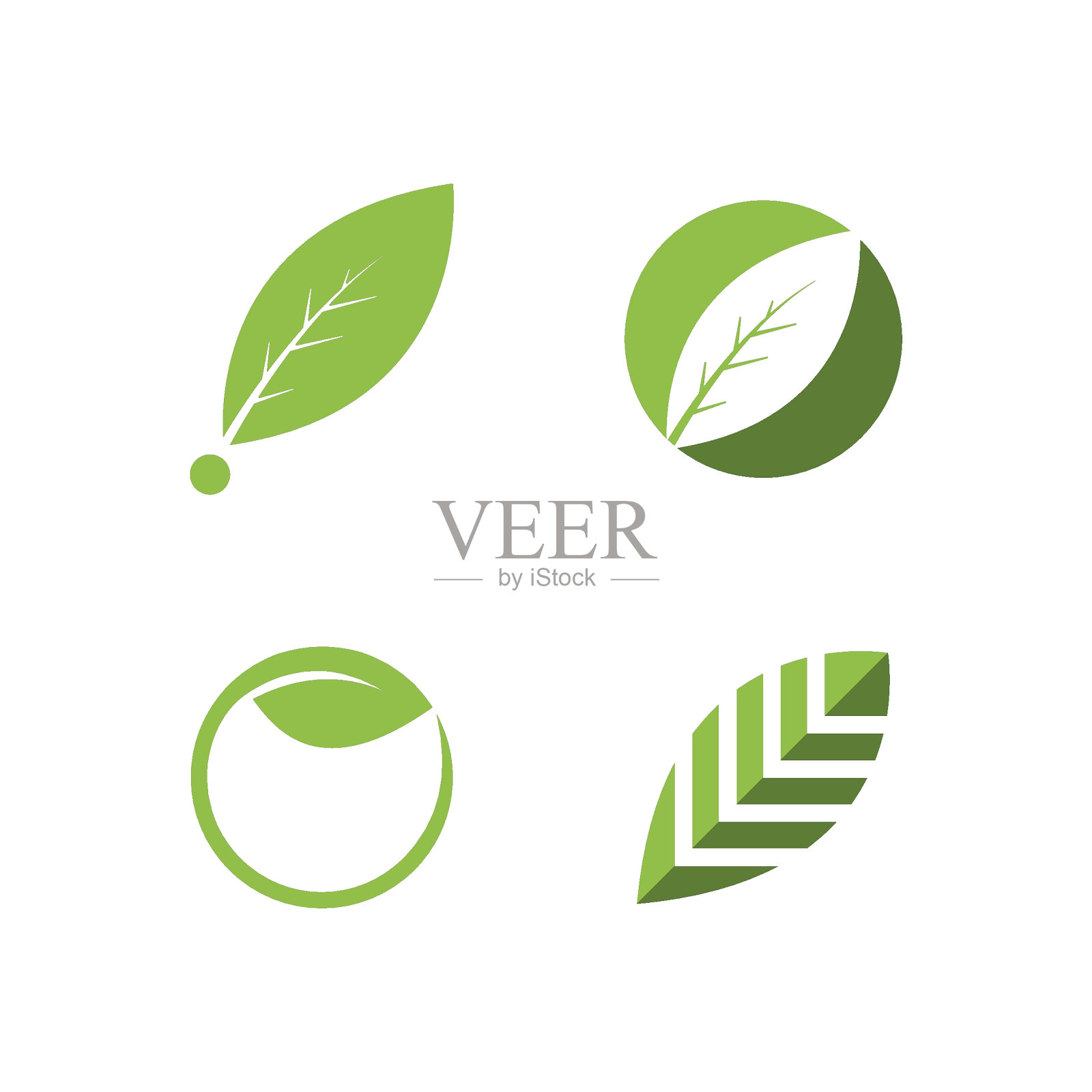 绿叶插图插画图片素材