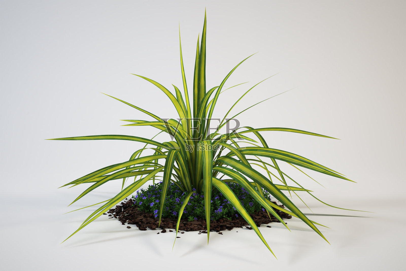 盆栽花卉适合以自然和环境健康为主题的设计。照片摄影图片