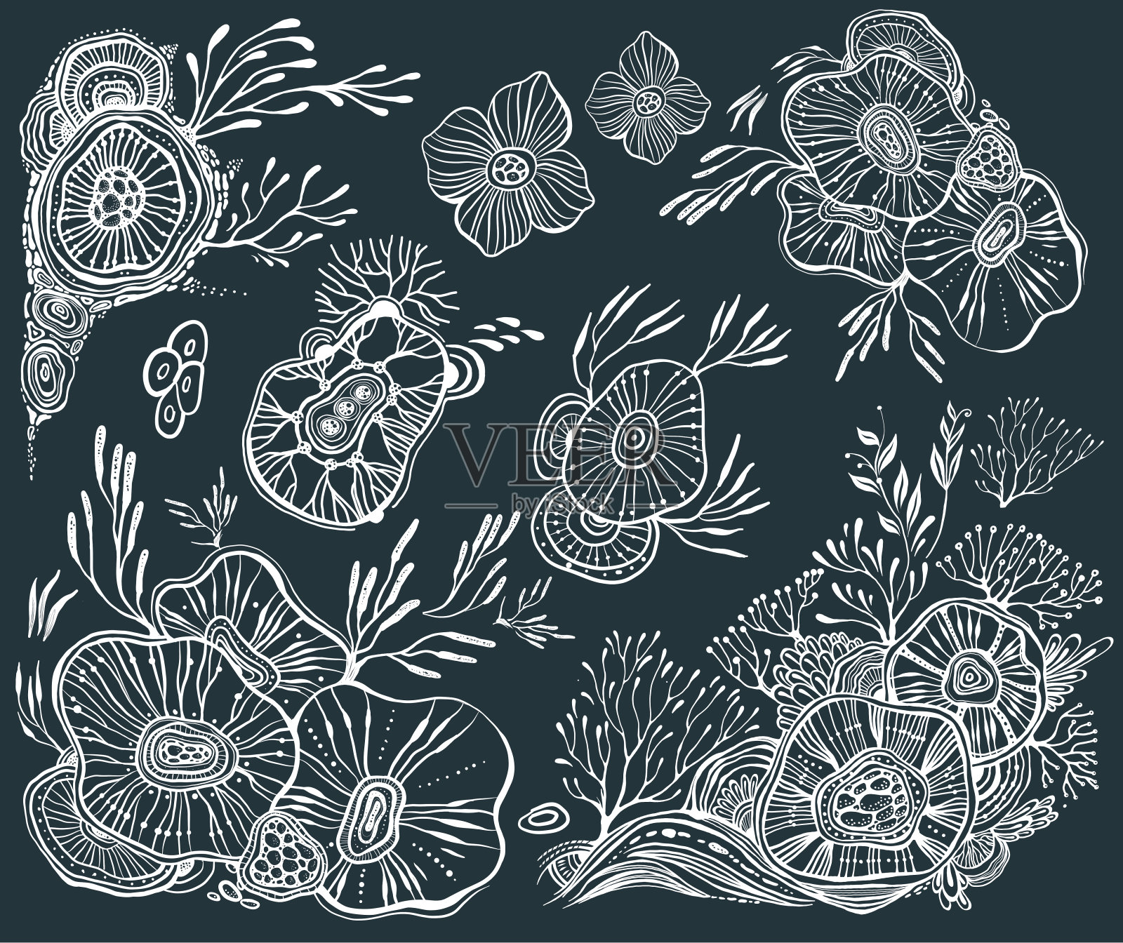 装饰花卉元素设计素材插画图片素材