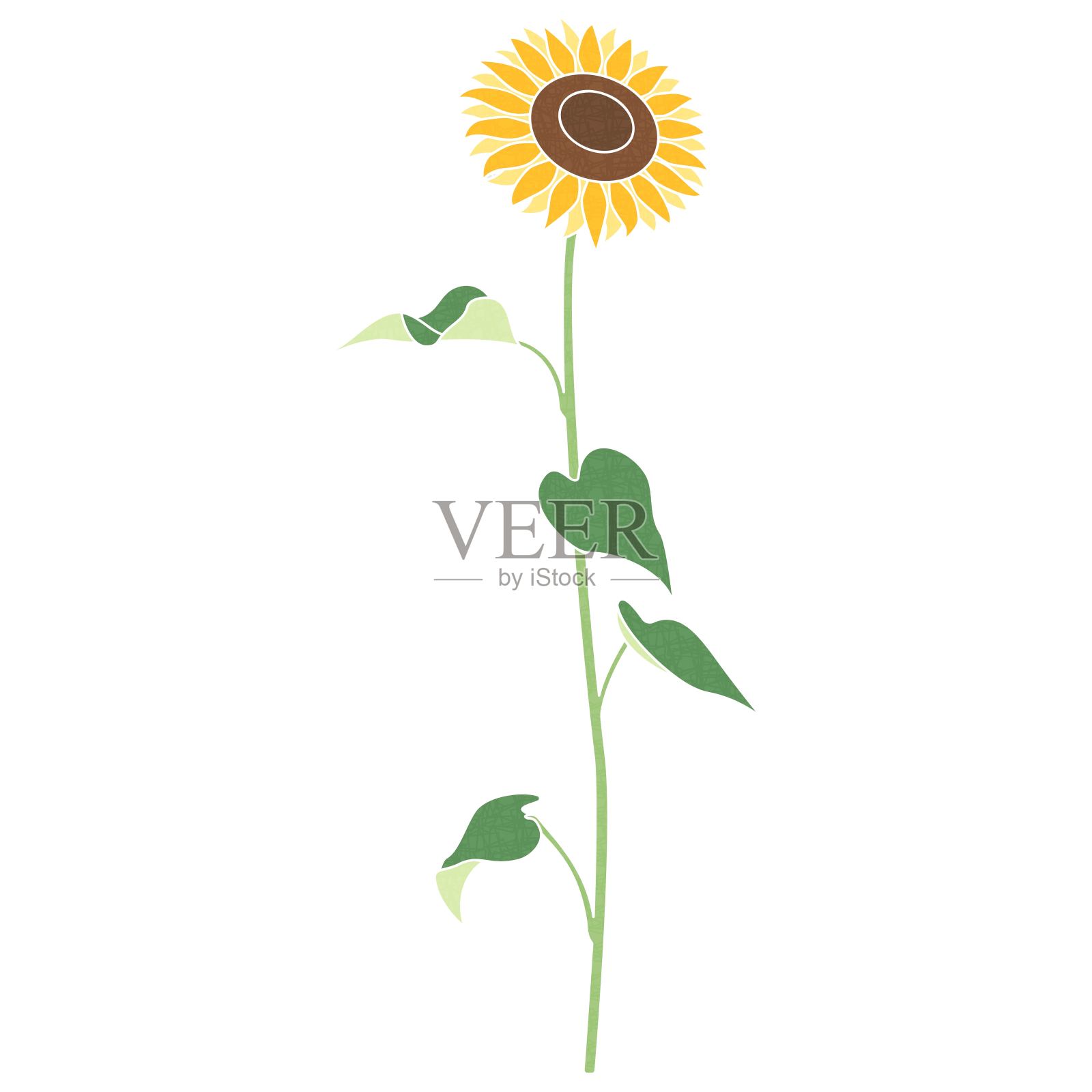 单个向日葵的插图，图标，矢量插画图片素材