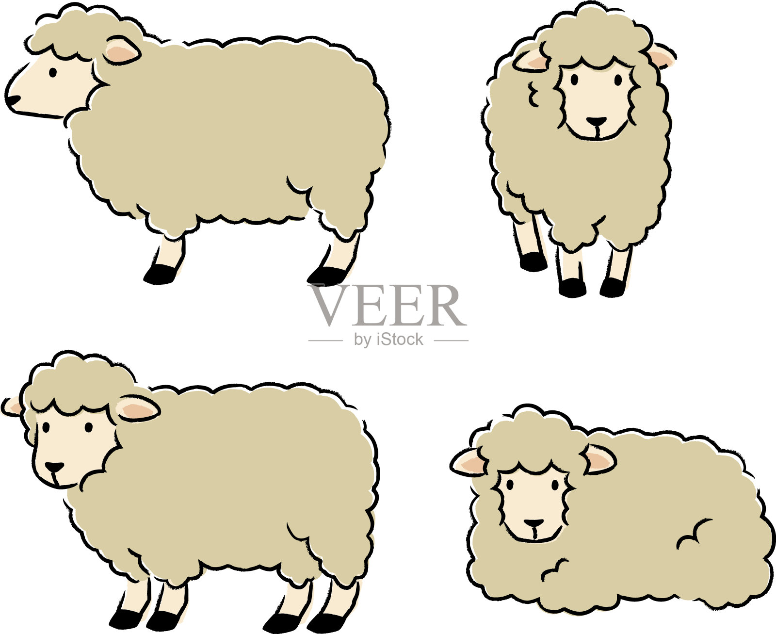 简单和可爱的羊插图集插画图片素材