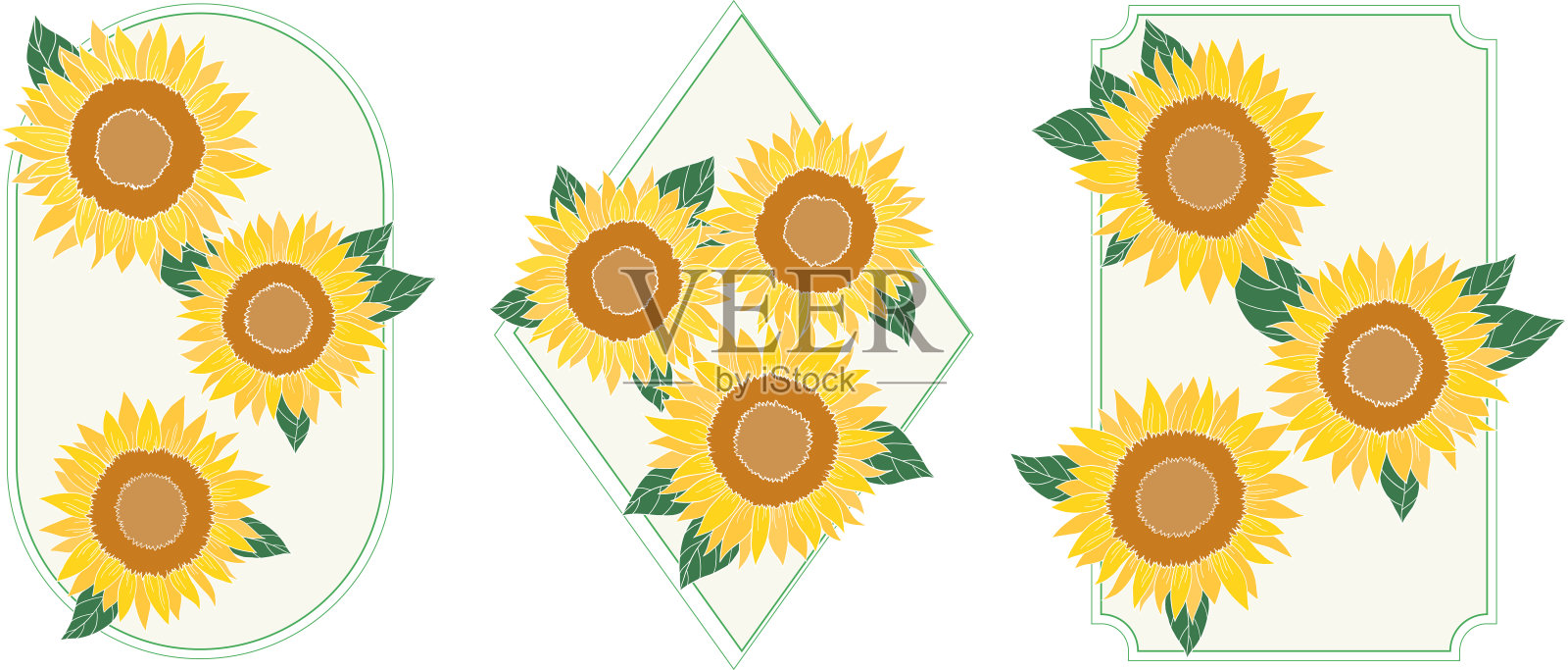 向日葵集矢量插图。黄色花框套装。插画图片素材