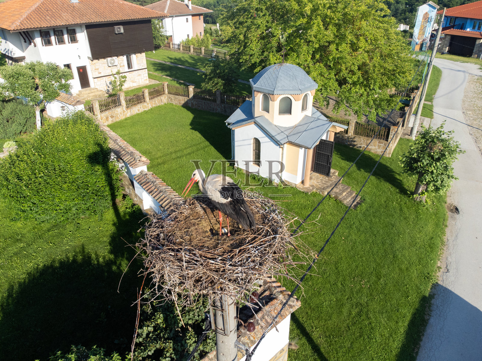 巢里的鹳照片摄影图片
