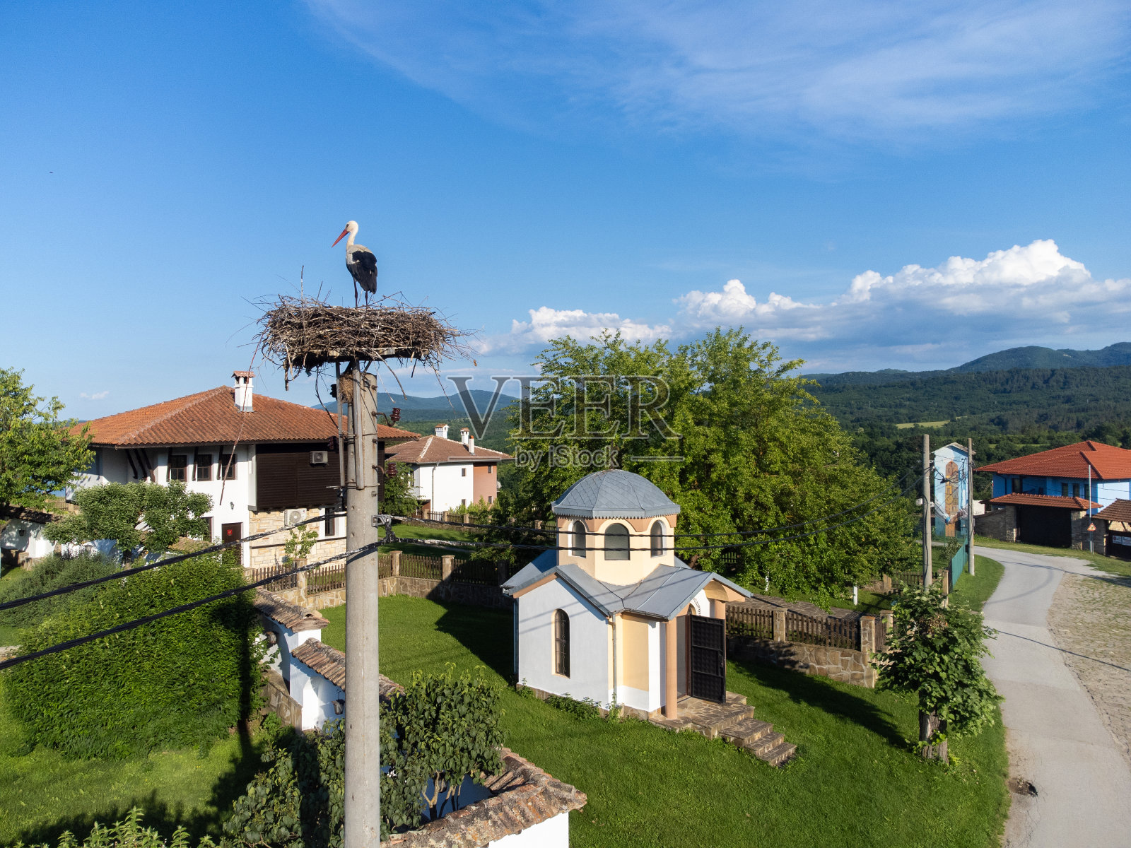 巢里的鹳照片摄影图片