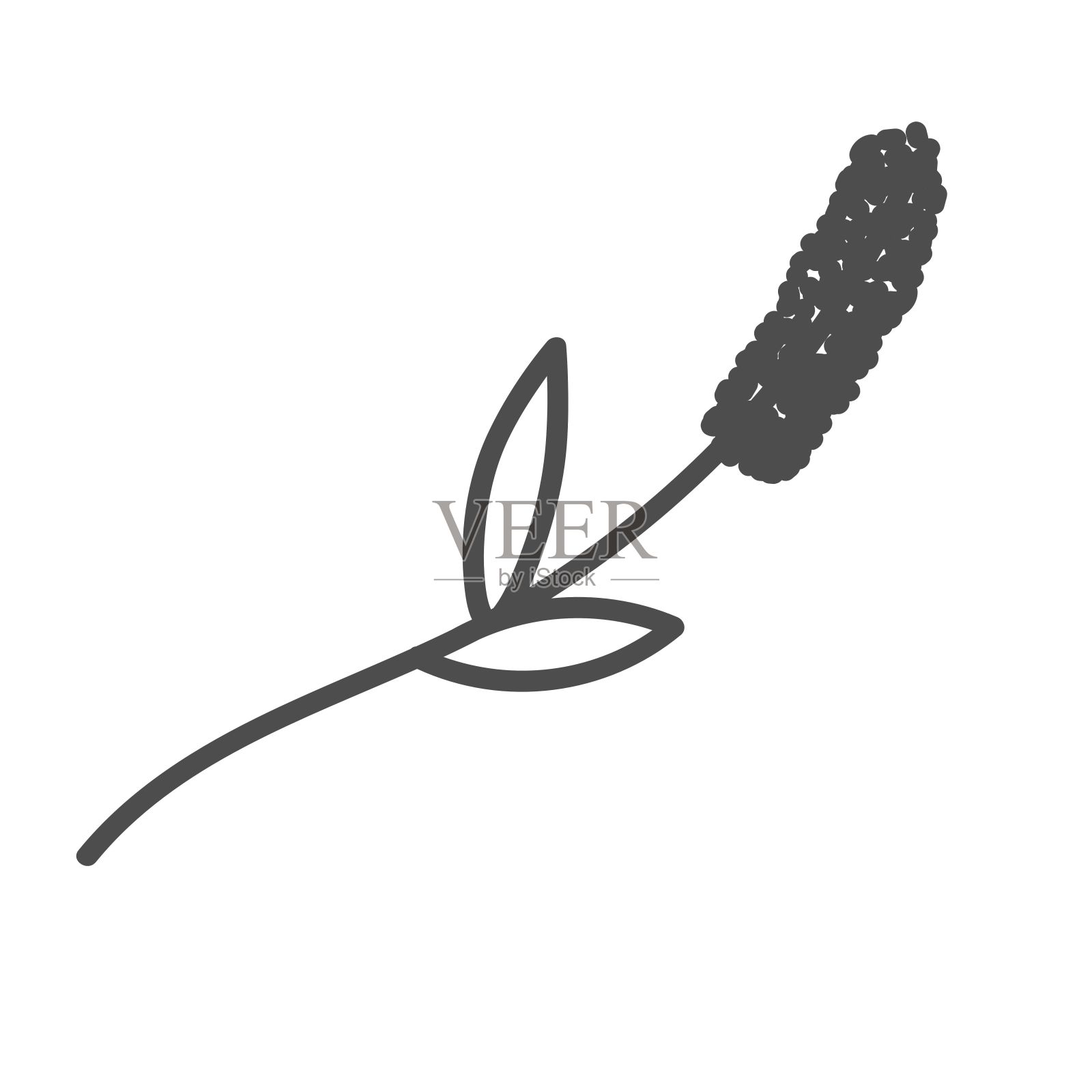 手绘的花和叶的插图插画图片素材