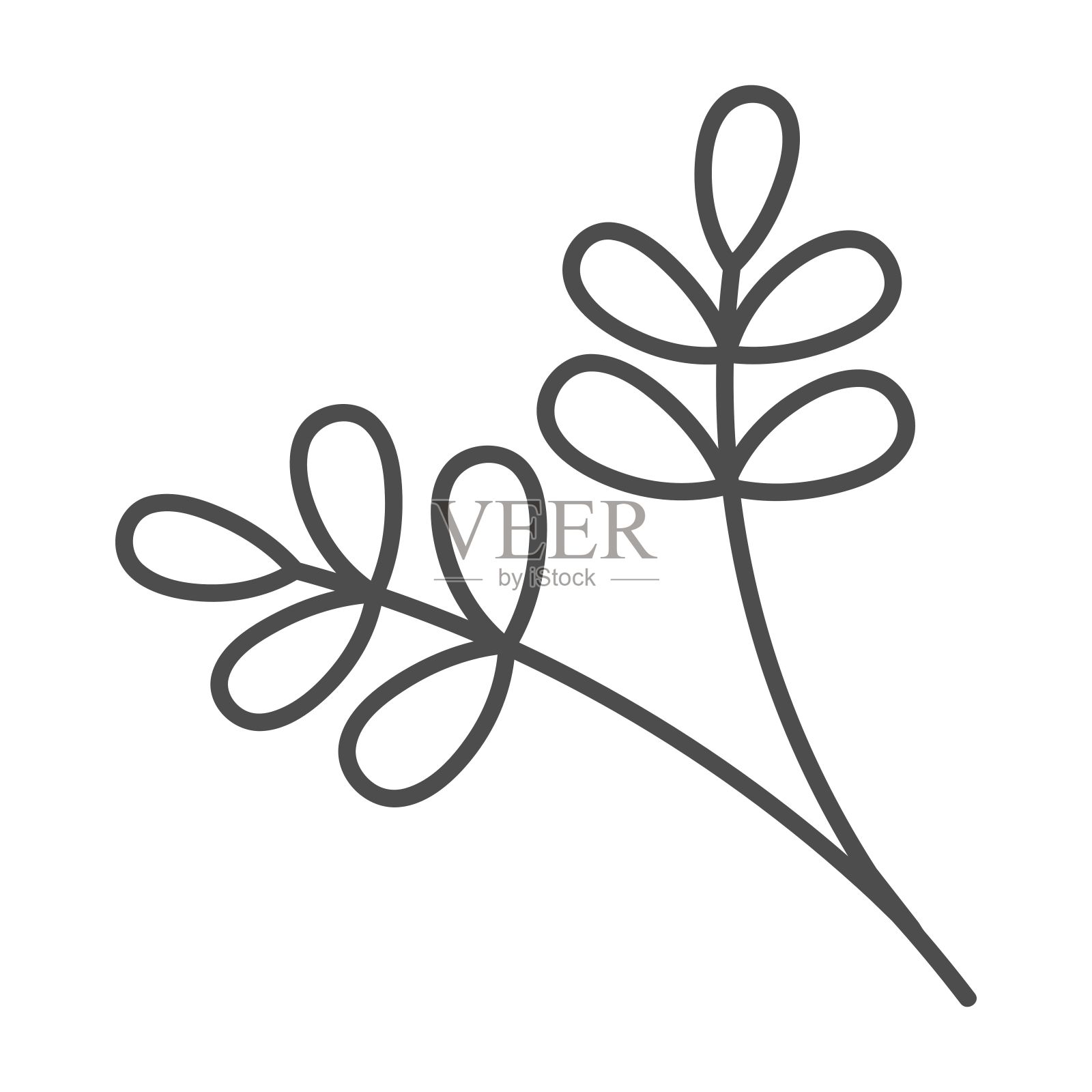 手绘的花和叶的插图插画图片素材