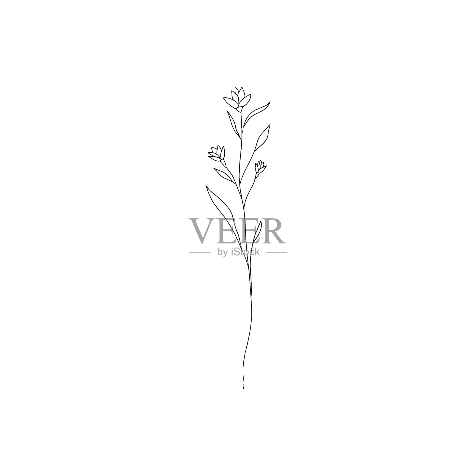 极简主义的花卉线条艺术。抽象植物装饰元素，现代植物线条绘制，花卉纹身设计。矢量隔离图插画图片素材