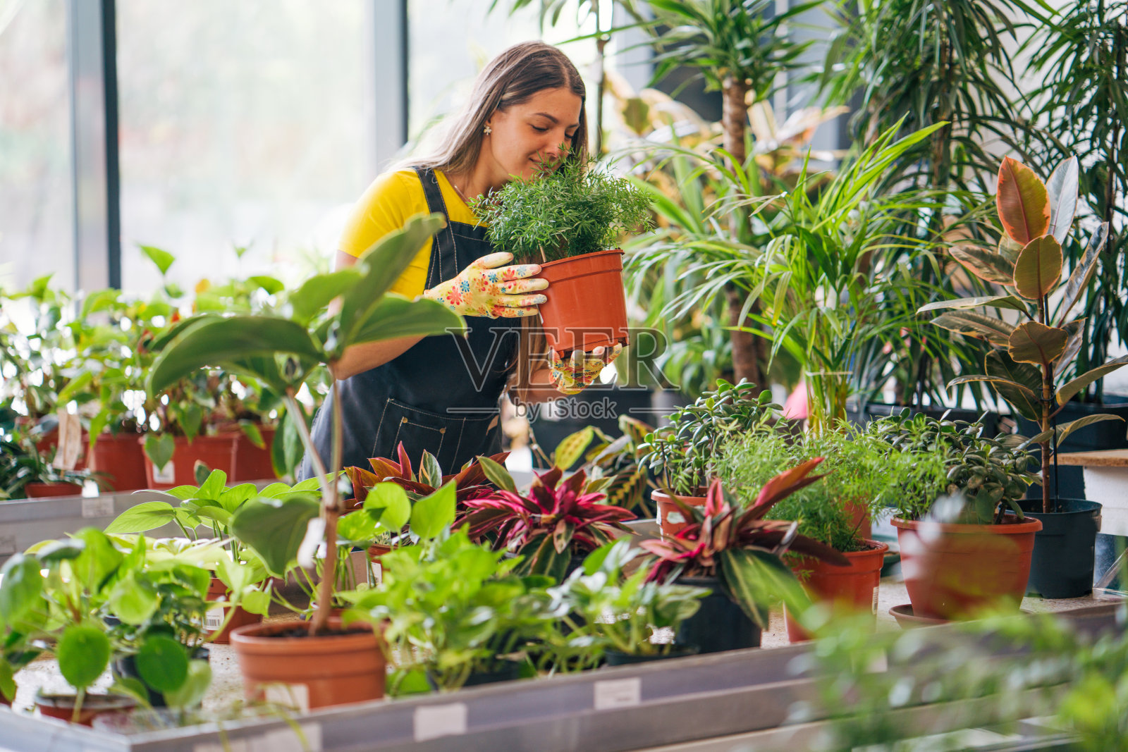 一位在园艺中心照顾植物的年轻女子照片摄影图片