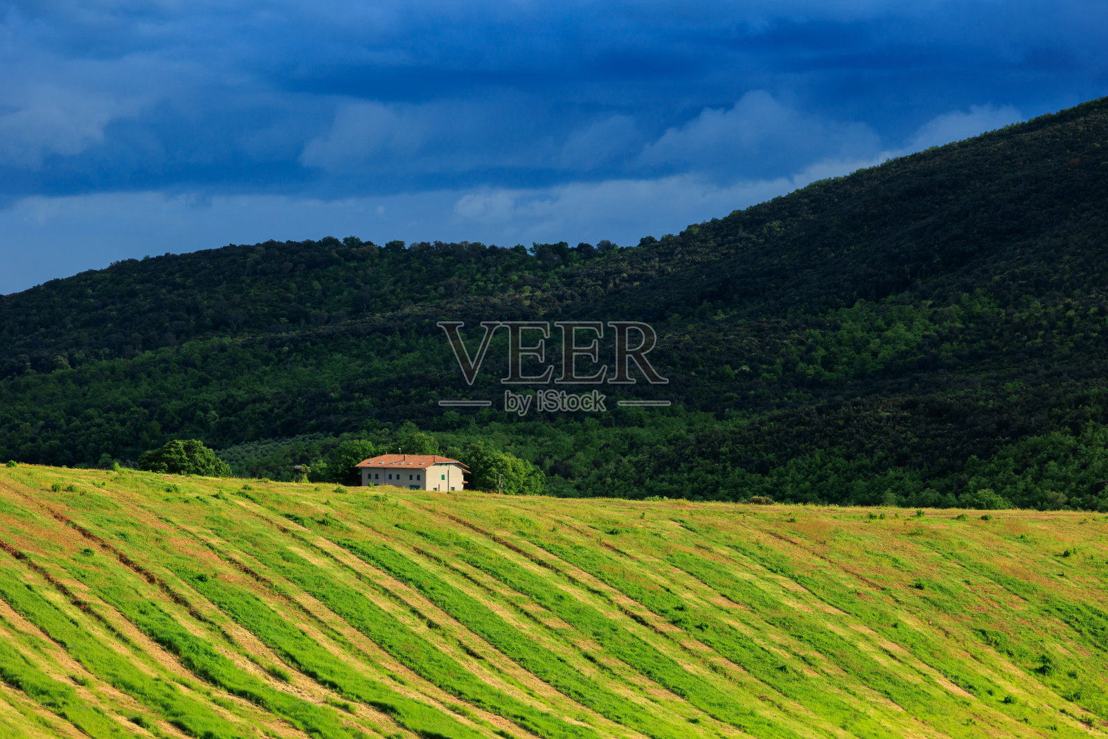 托斯卡纳景观照片摄影图片