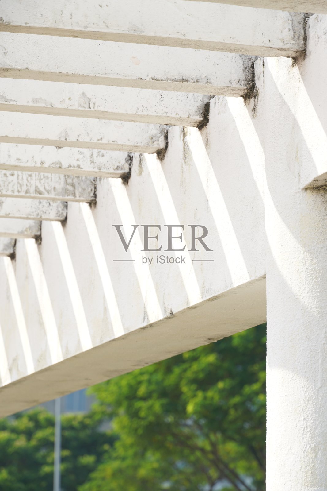 白色的结构有很多白色的线条，周围是绿色的树木照片摄影图片