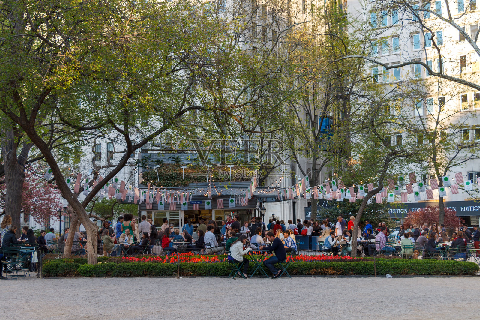纽约曼哈顿麦迪逊广场公园的欢乐时光照片摄影图片