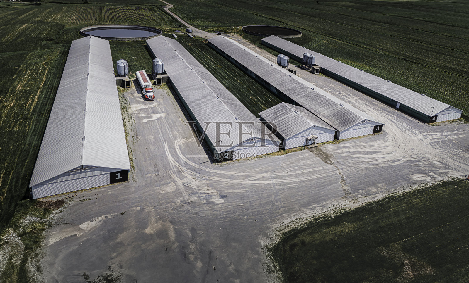 魁北克圣休格的养猪场鸟瞰图照片摄影图片