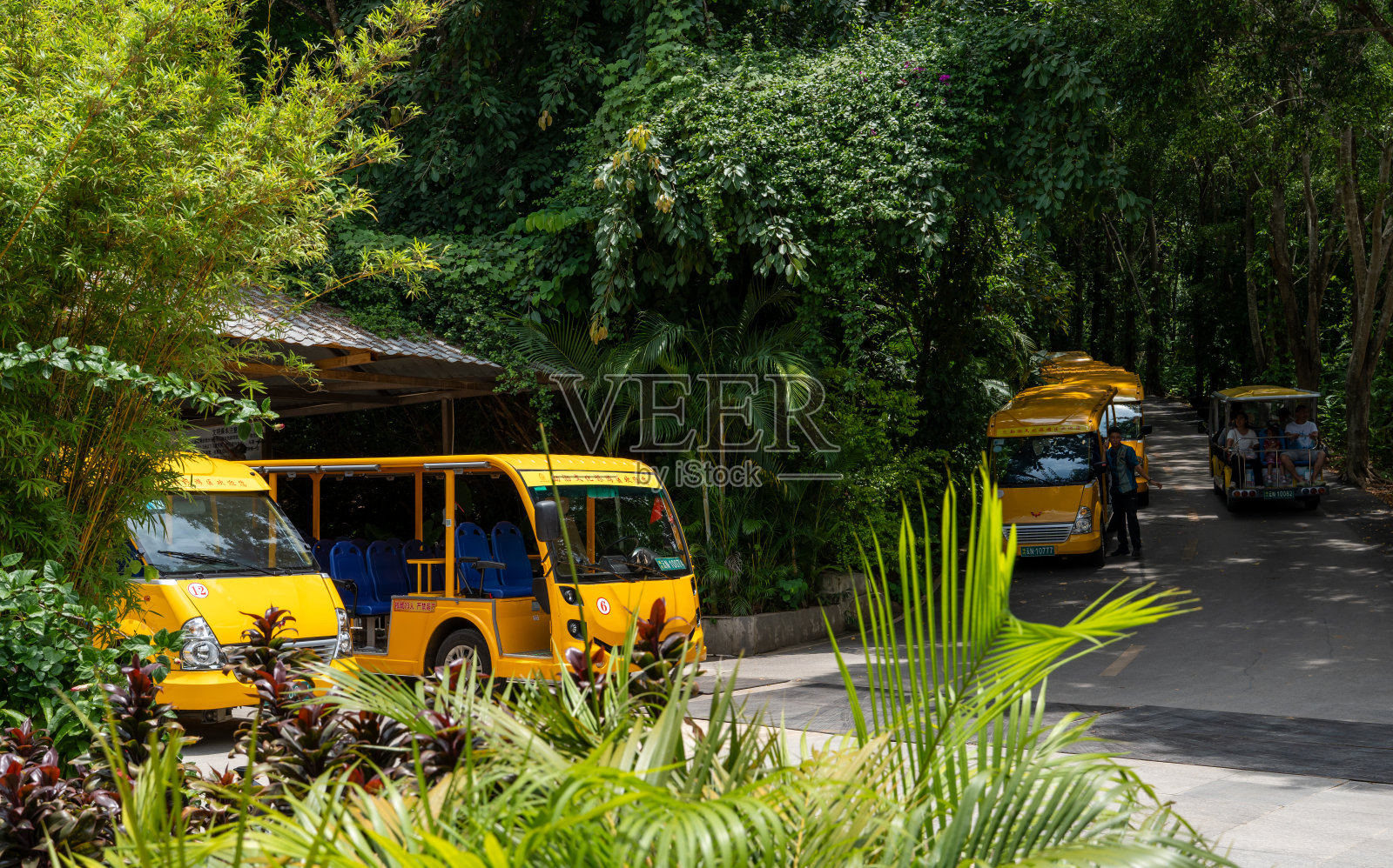 佛教文化公园游照片摄影图片