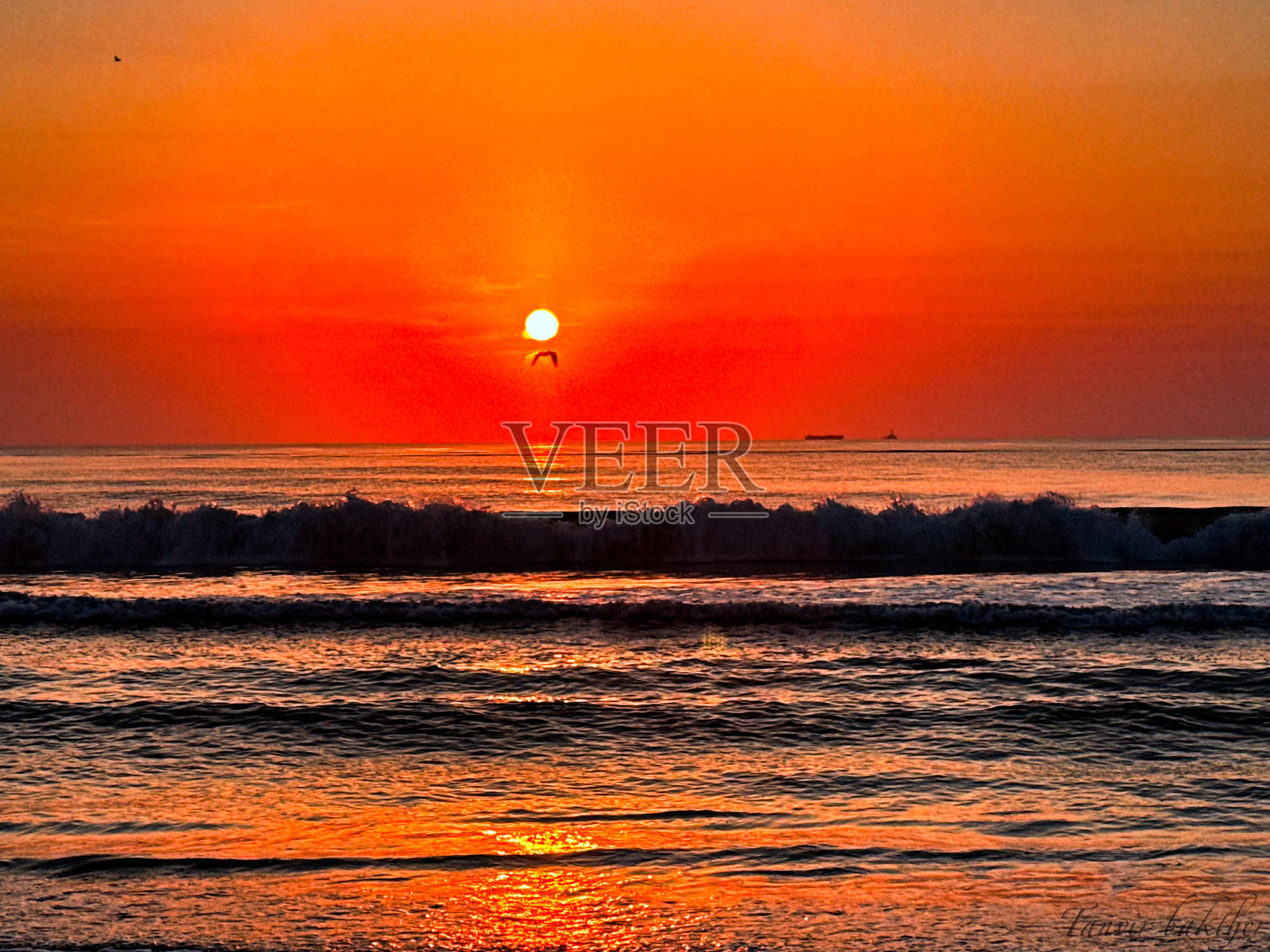 佛罗里达州杰克逊维尔海滩的日出照片摄影图片