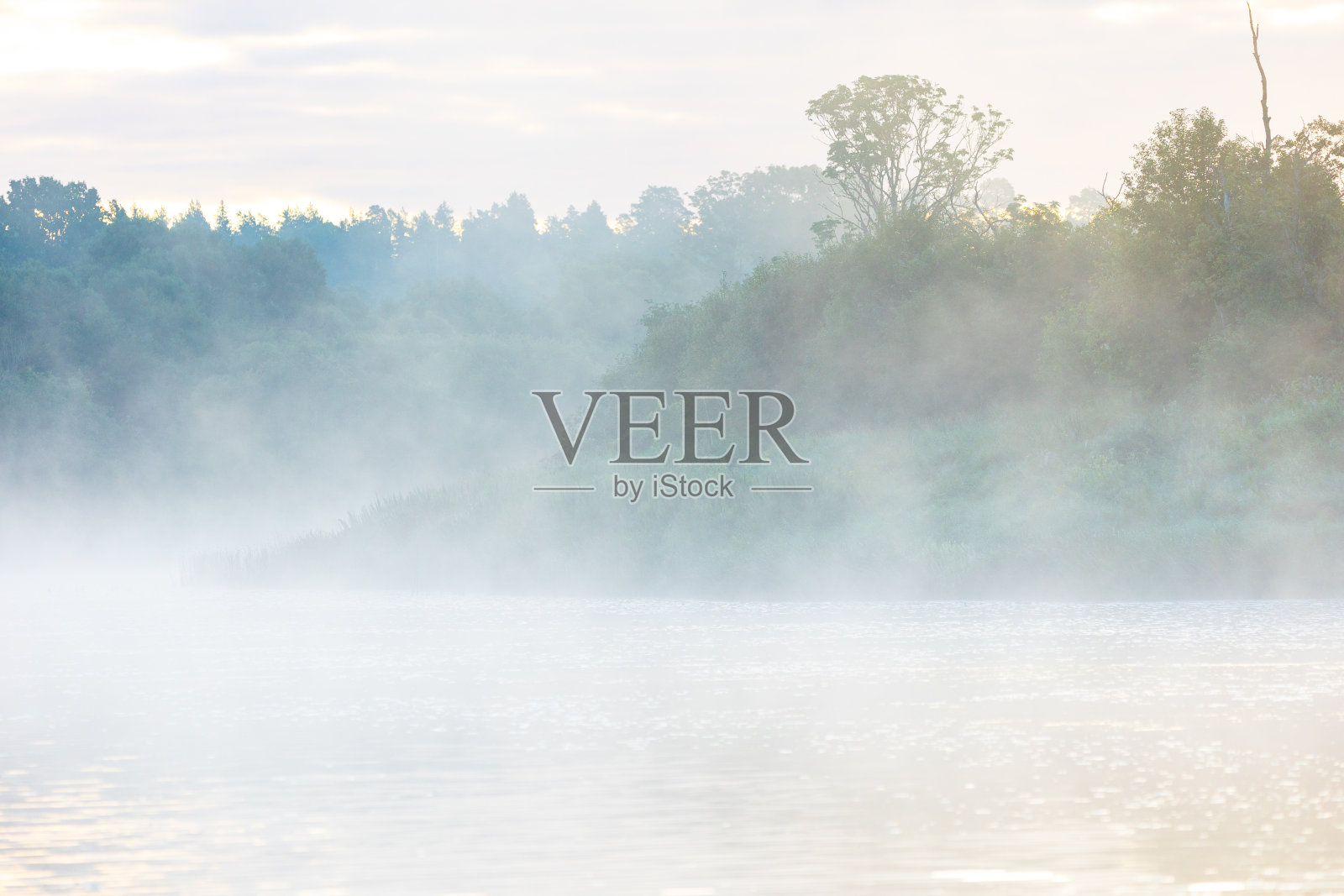 河岸上一个美丽的夏日清晨，雾气蒙蒙。照片摄影图片