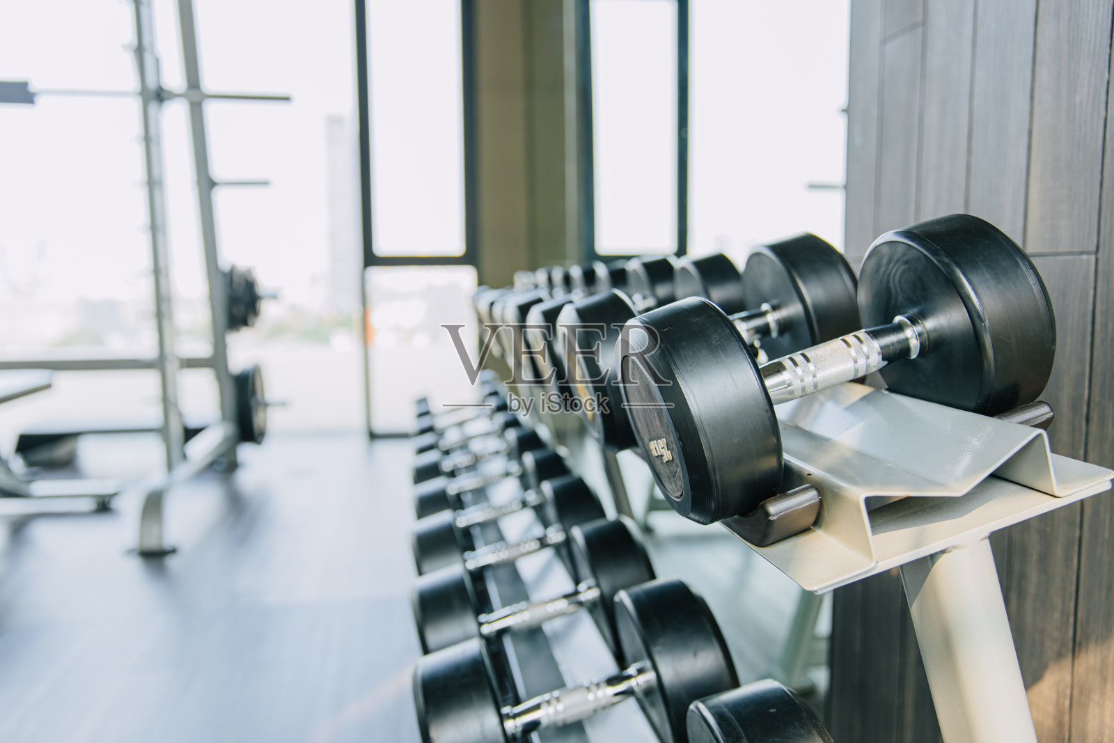 哑铃排在健身房架架，运动器材概念，为健身健身做准备广告产品。照片摄影图片