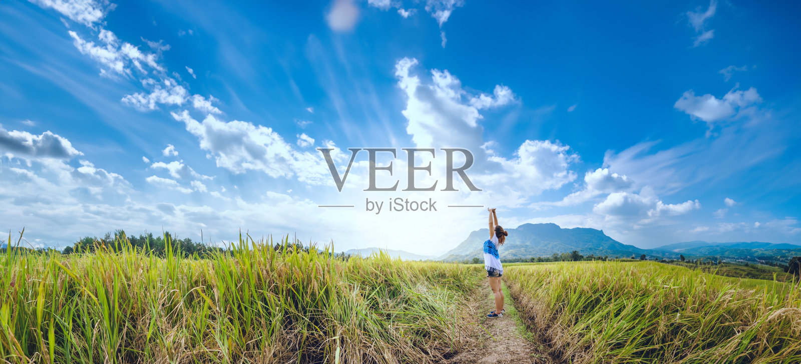 亚洲女性在假期旅行放松。站立自然摸山野。泰国照片摄影图片