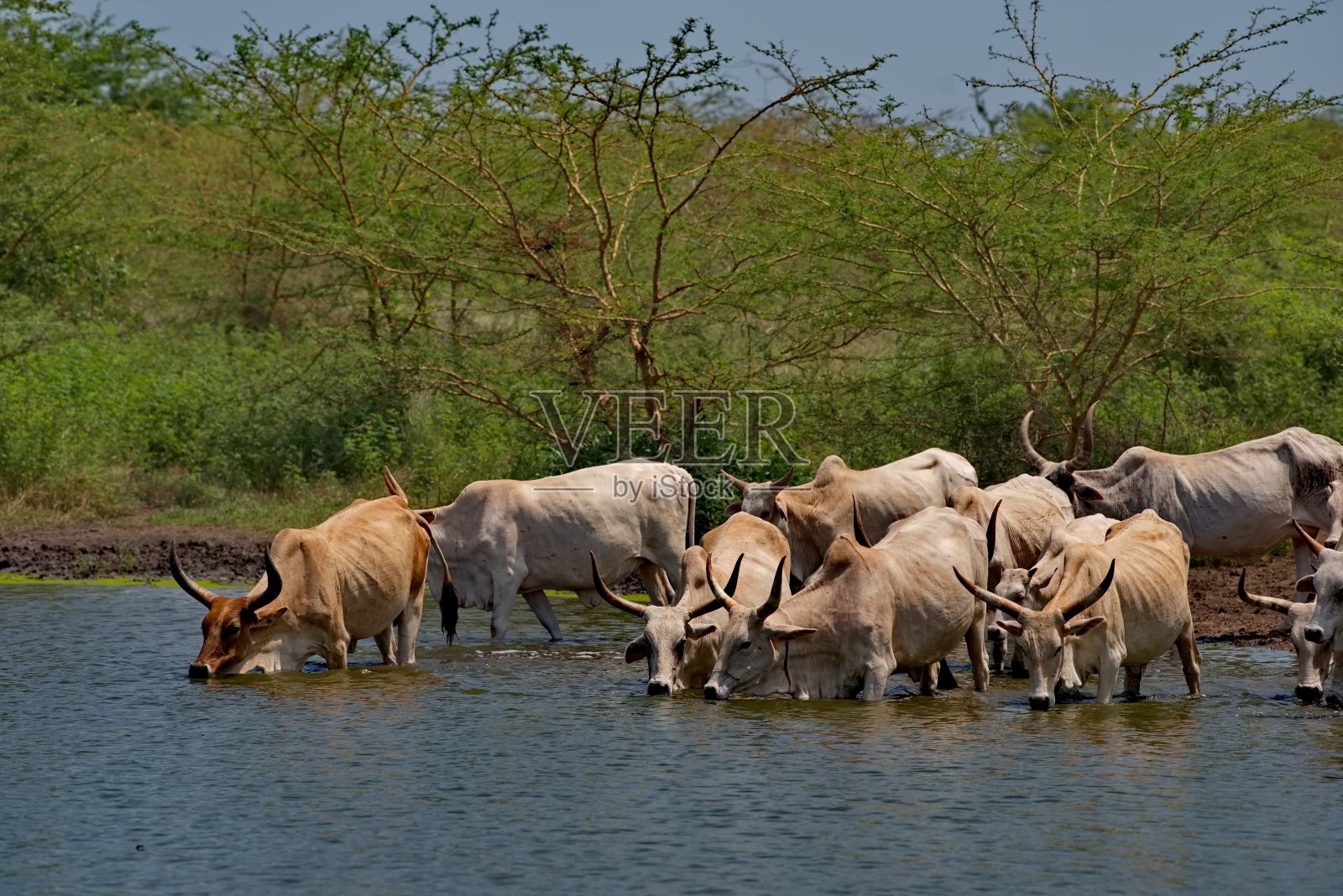酒吧里一片混乱照片摄影图片