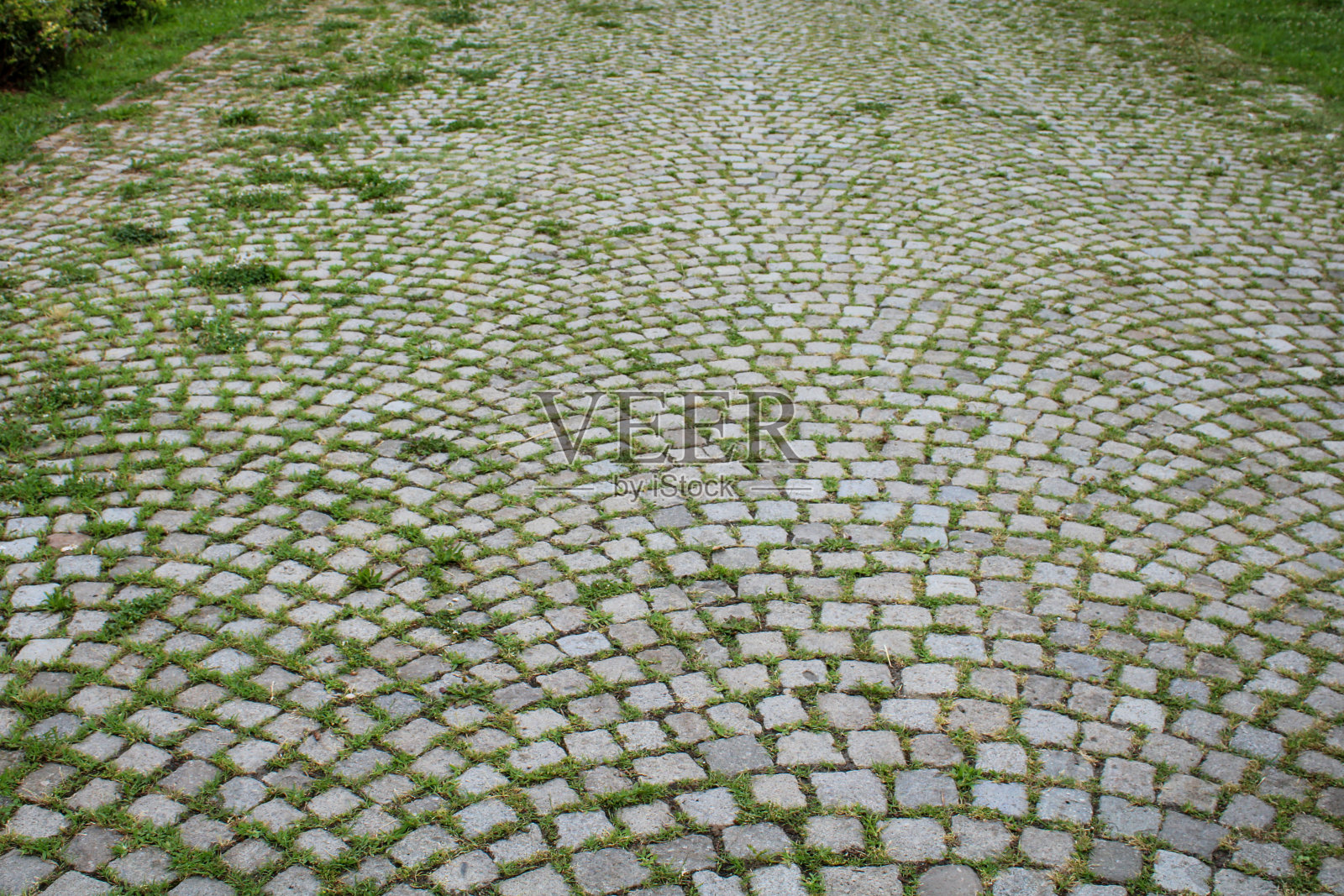 老灰色扇形花岗岩马赛克鹅卵石小径和草地照片摄影图片
