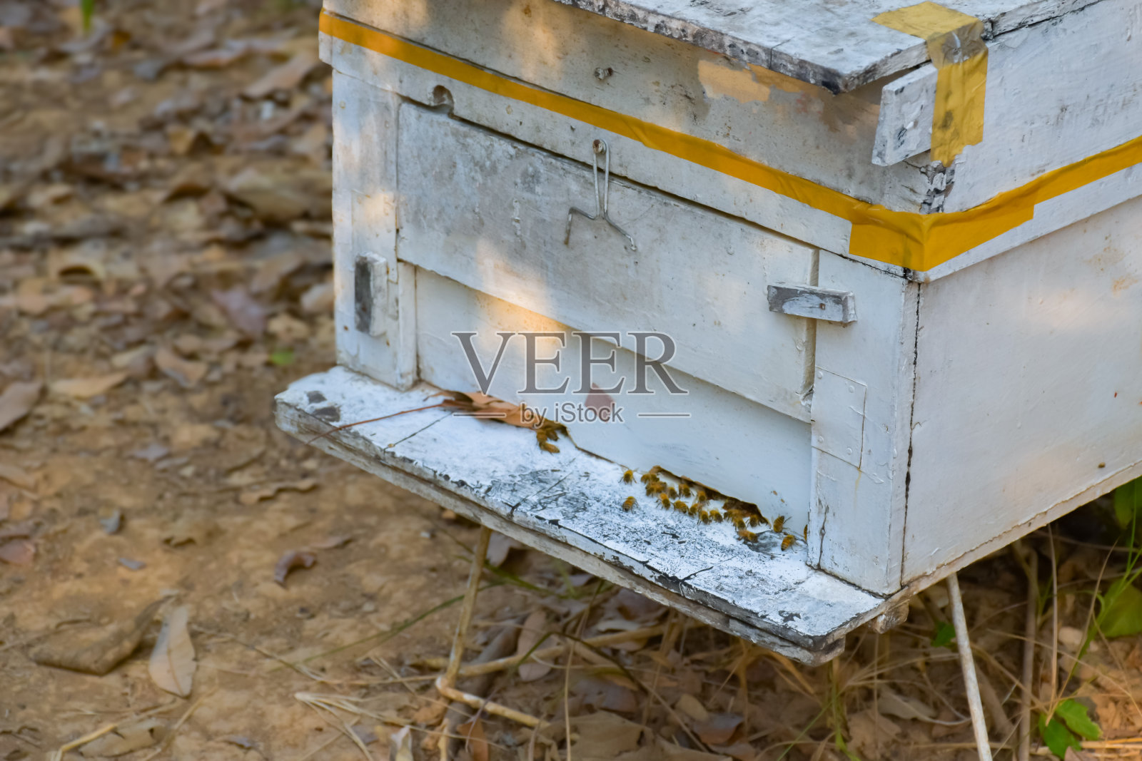 亚洲本地蜂箱照片摄影图片