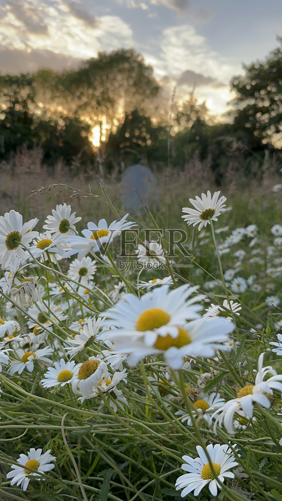 日落照片摄影图片