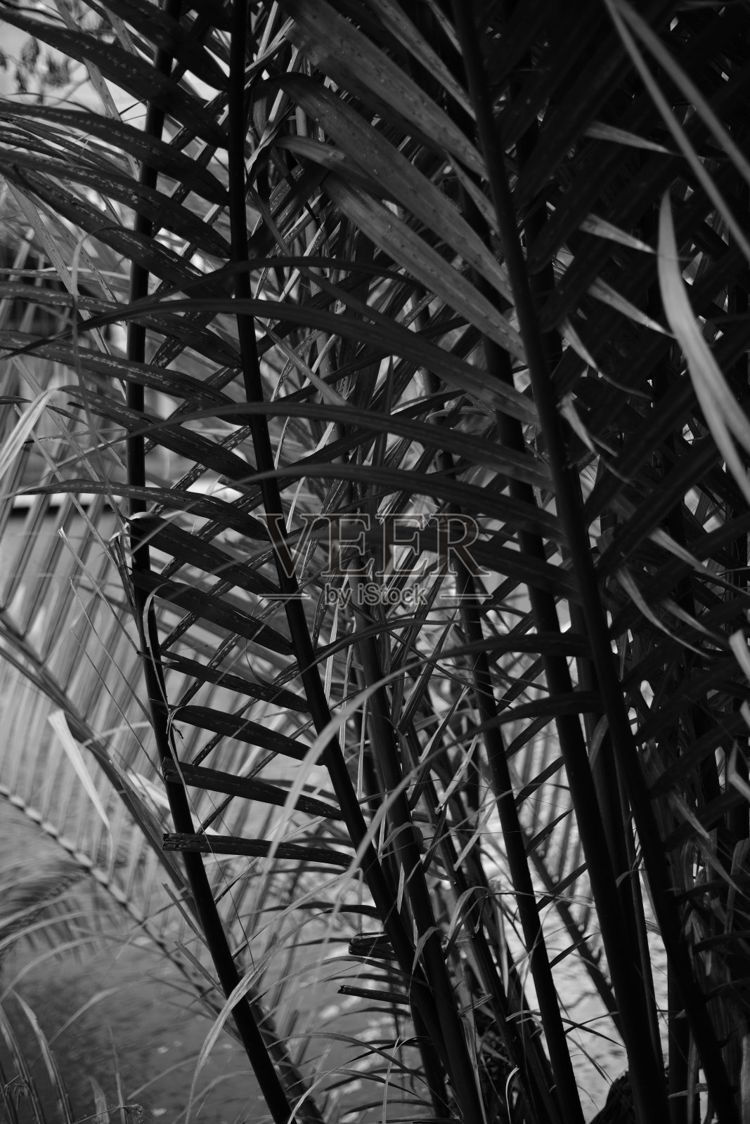 平面留下单调的图像照片摄影图片