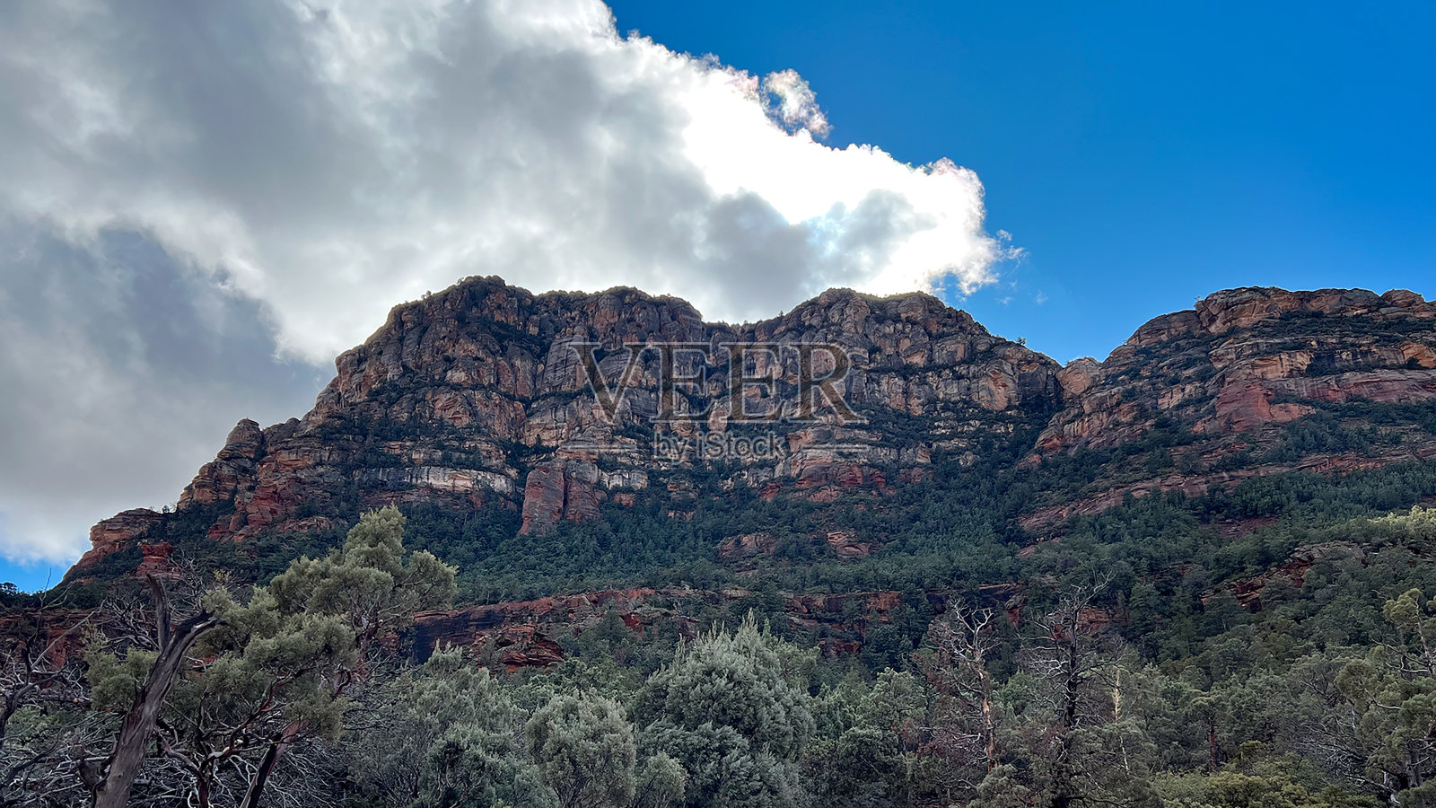 科科尼诺国家森林红石魔鬼桥步道照片摄影图片