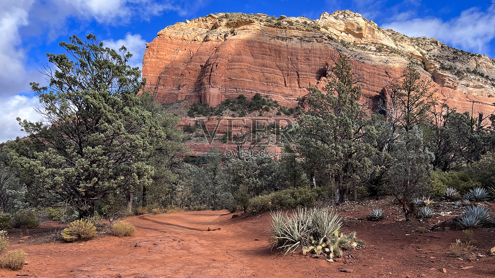 科科尼诺国家森林红石魔鬼桥步道照片摄影图片