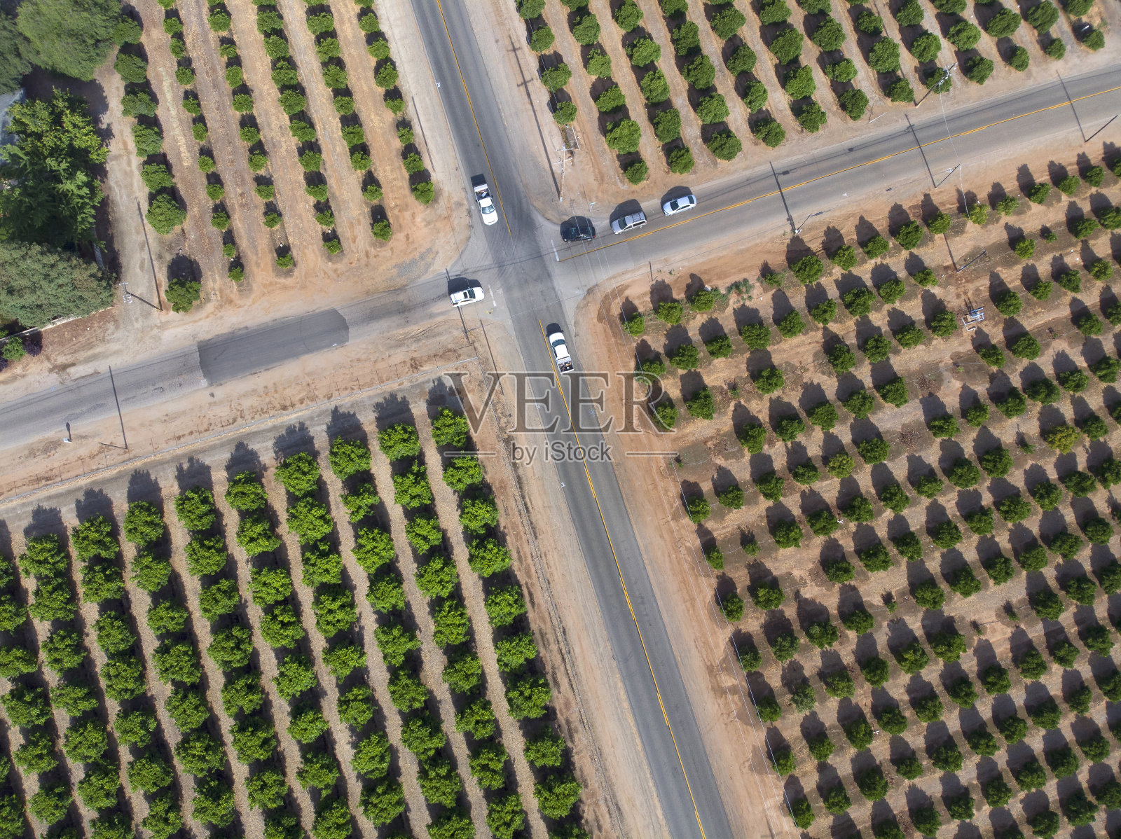 橘子园和道路的鸟瞰图照片摄影图片