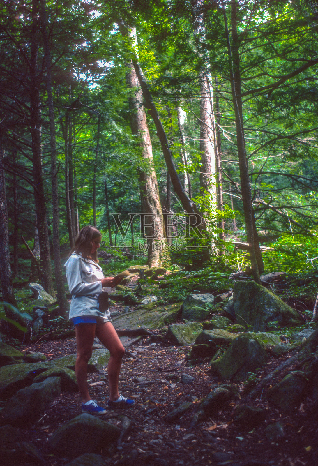 大烟山NP -检查路线指南- 1976照片摄影图片