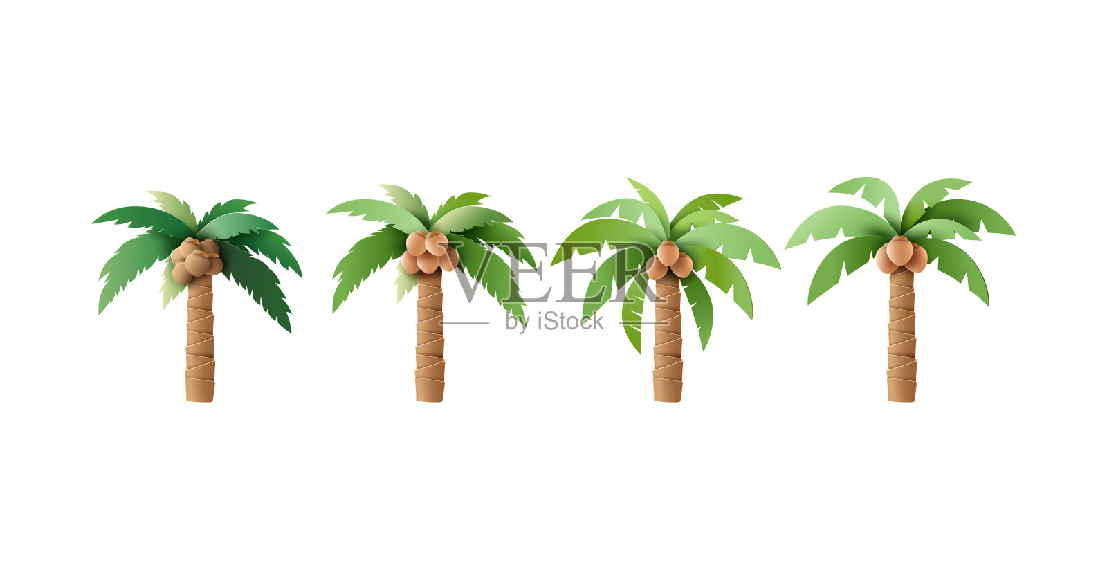 一组矢量棕榈树与椰子插图插画图片素材
