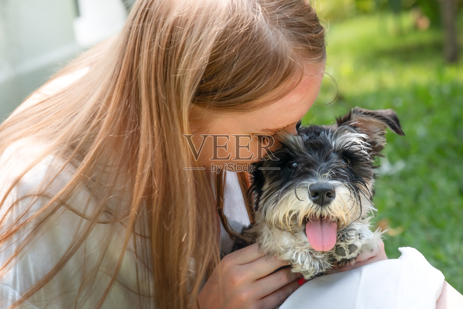 一个女人和一只迷你雪纳瑞小狗的肖像照片摄影图片