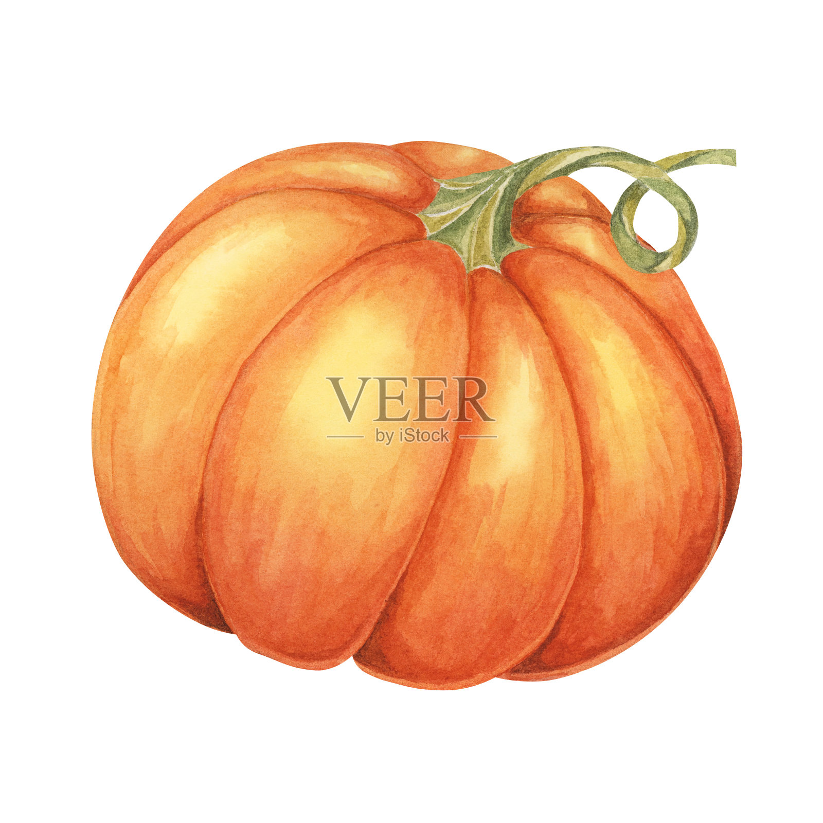 橙色南瓜水彩插图。鲜艳的秋季蔬菜。南瓜剪贴画为季节性的小屋芯装饰，感恩节卡片和邀请插画图片素材
