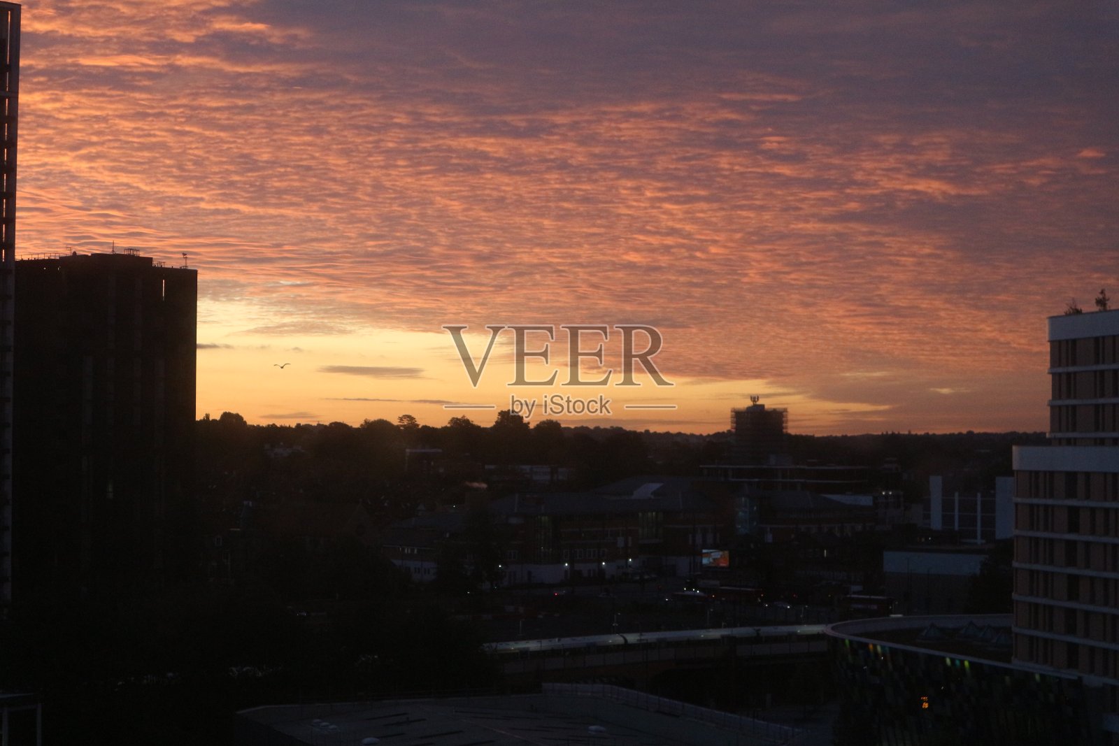 和太阳一起醒来。照片摄影图片