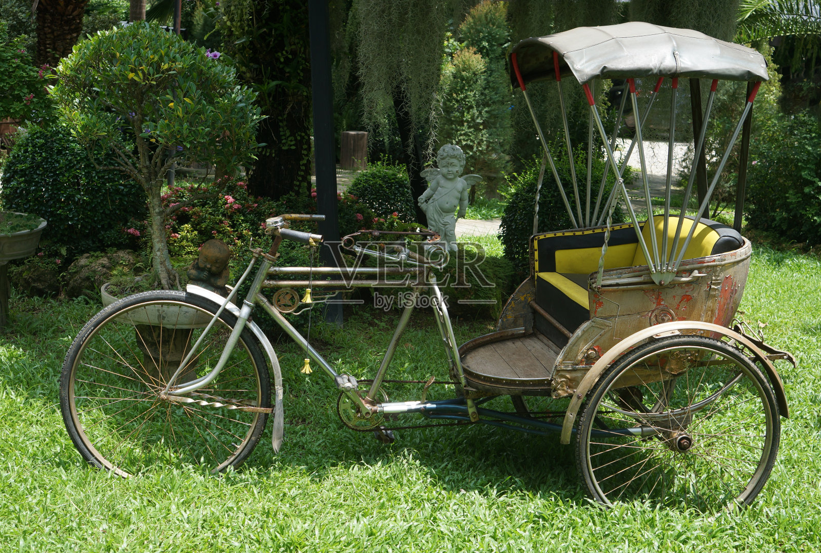 花园里的老式三轮车照片摄影图片