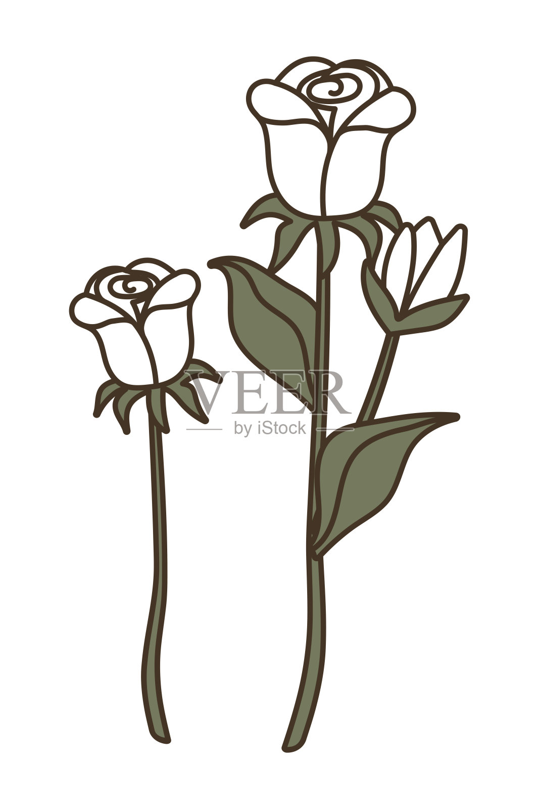 白玫瑰。灌木植物-玫瑰。复古风格与轮廓。隔离在白色背景平面矢量插图，eps10插画图片素材