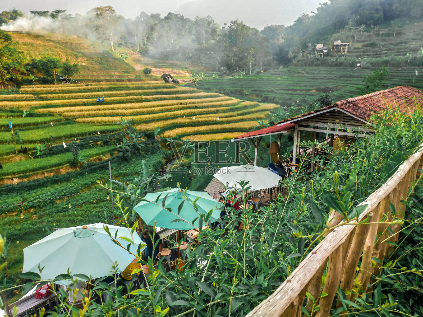 Mojokerto的咖啡馆氛围与稻田和大自然的景色照片摄影图片