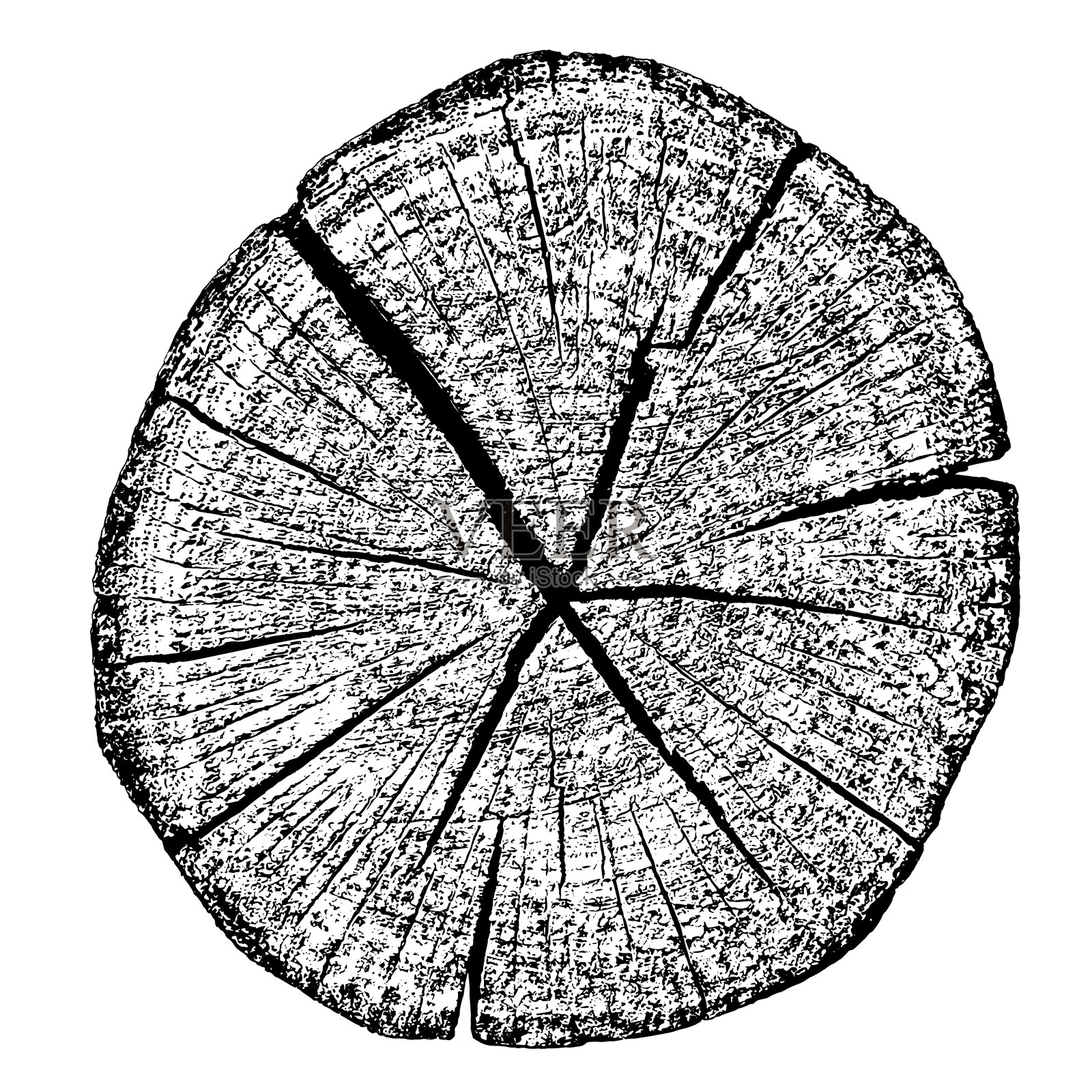 树木年轮的木材纹理横截面插画图片素材