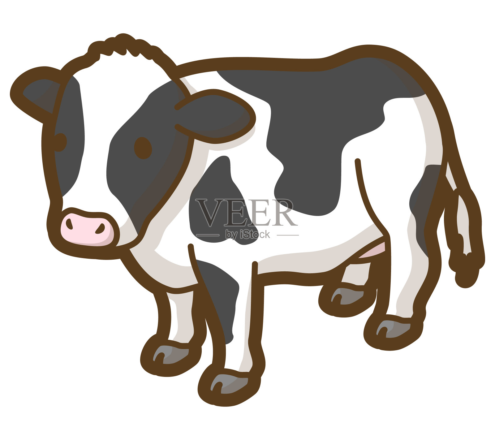 牲畜牛。农场动物。插画图片素材