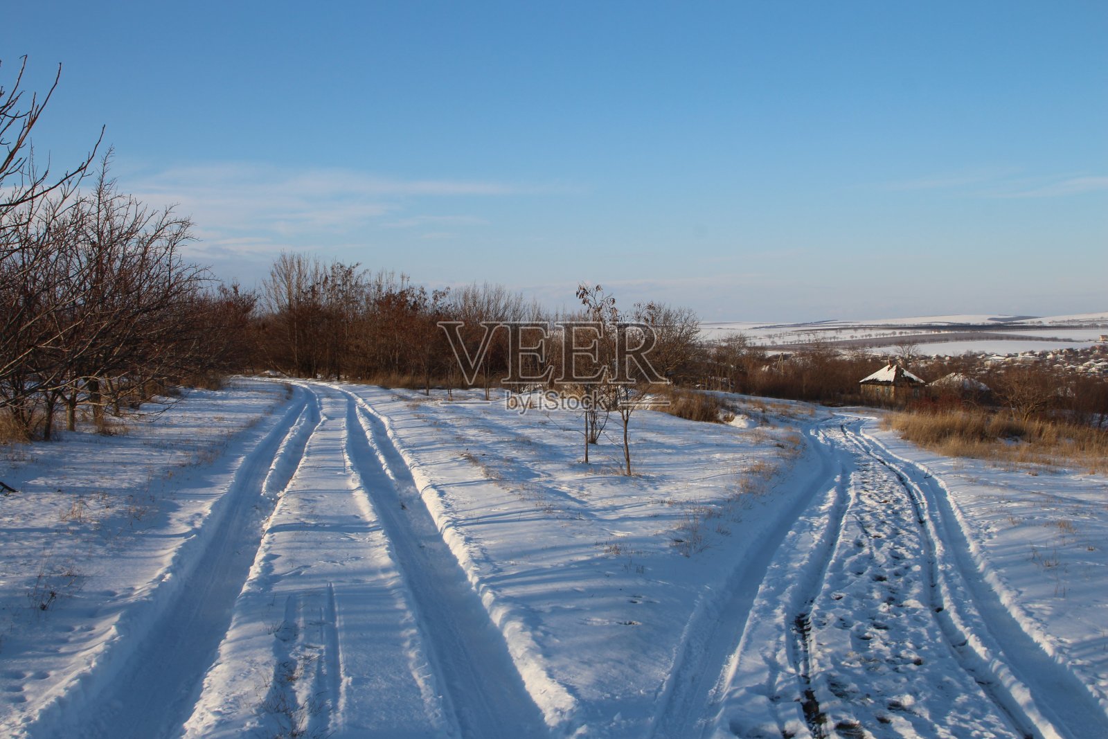 一条两边都是树的雪道照片摄影图片