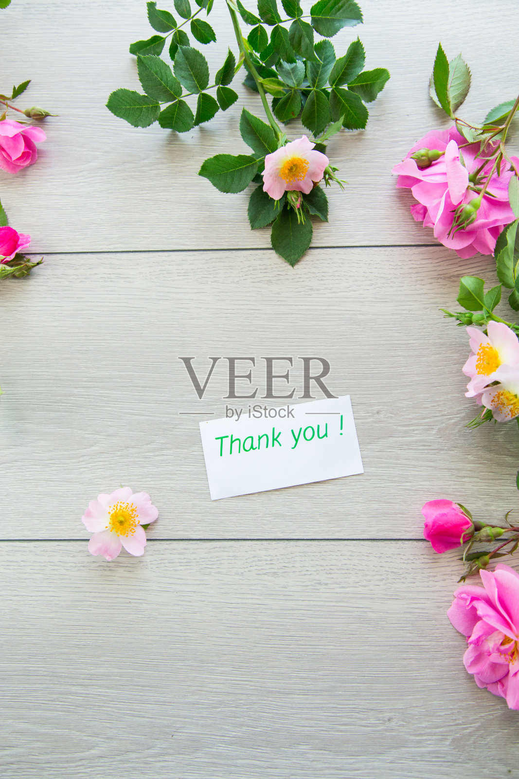 明亮的粉色玫瑰配上明亮的木质背景照片摄影图片