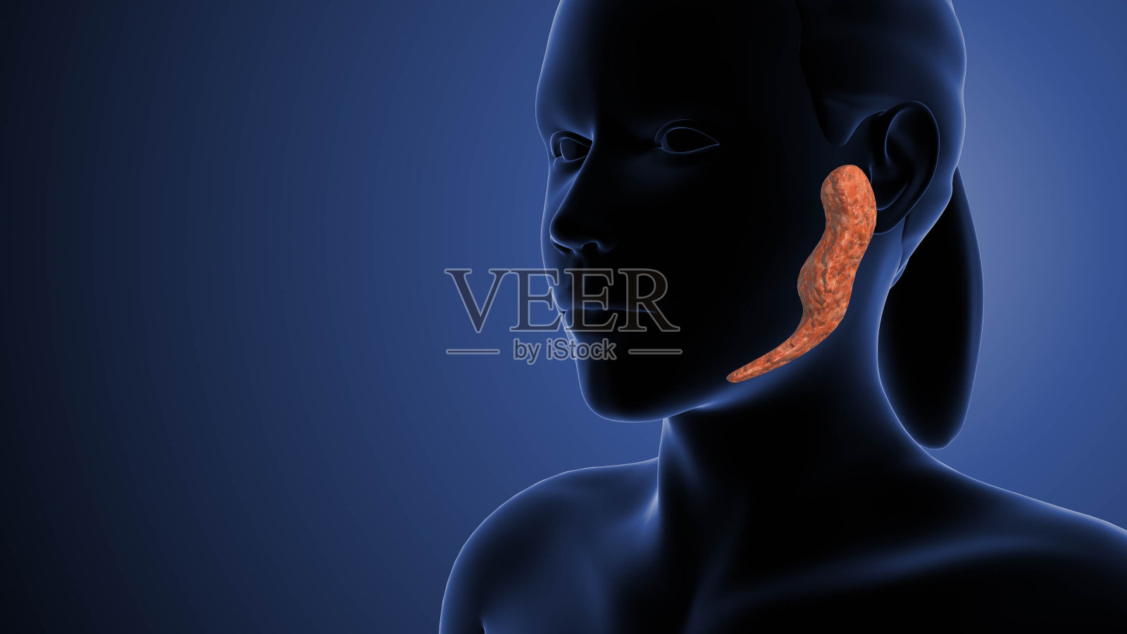 腮腺癌医学动画照片摄影图片