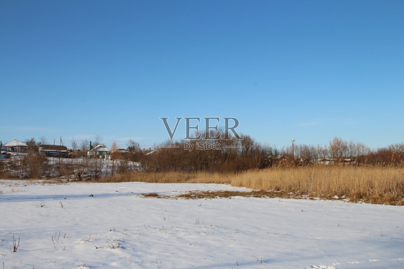 有树木和建筑物的雪原照片摄影图片