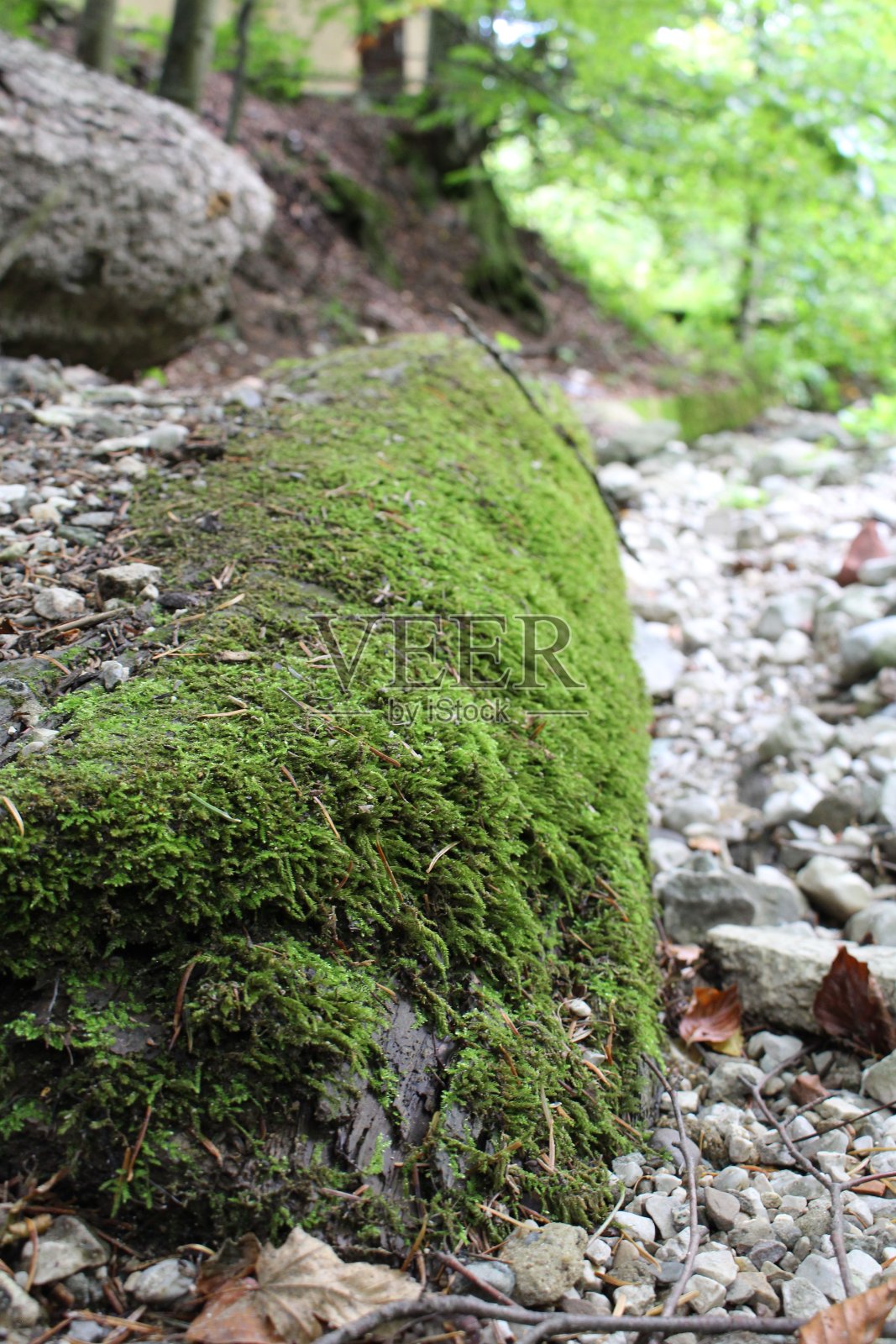 一块长满青苔的绿色岩石照片摄影图片