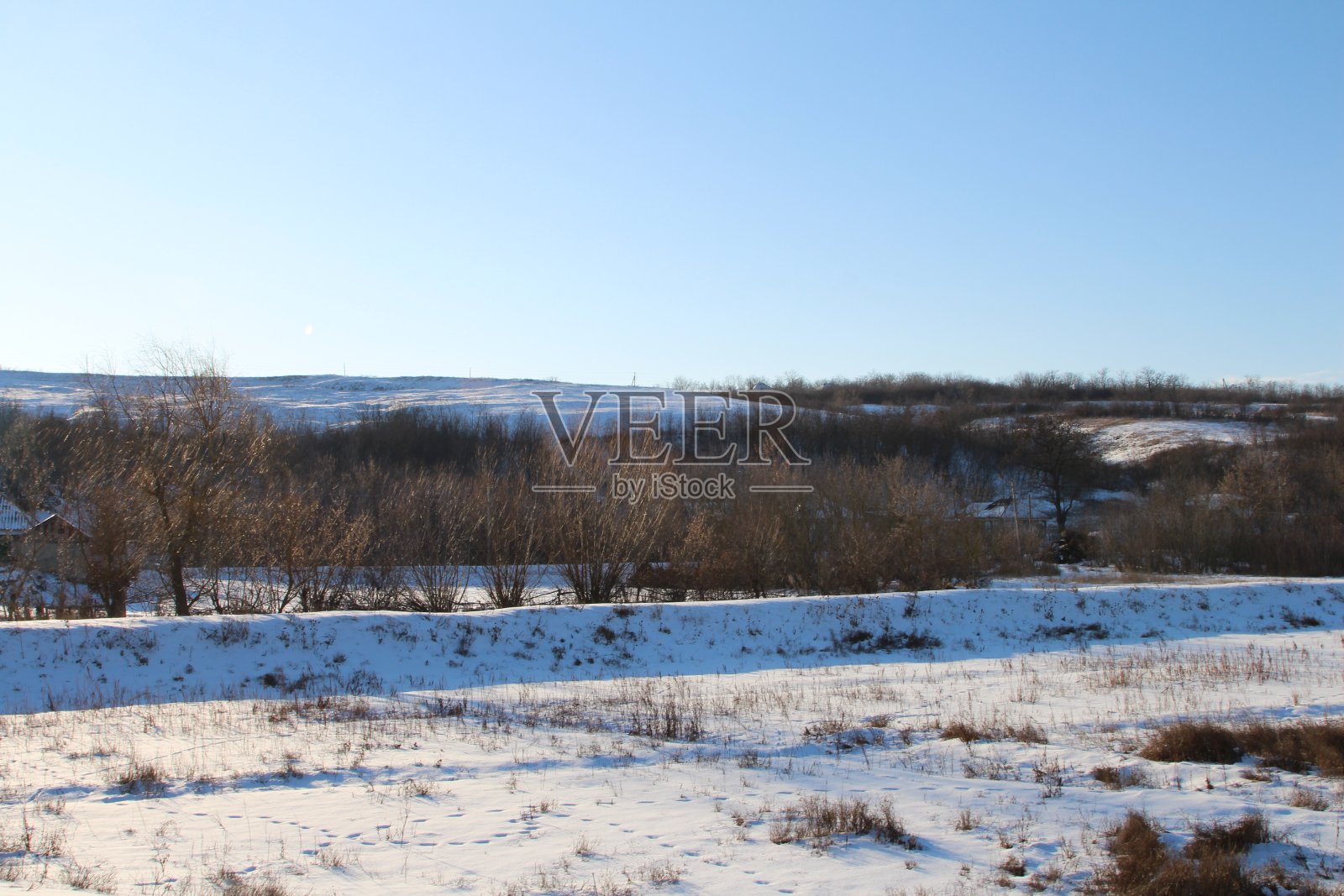 有树的雪原照片摄影图片