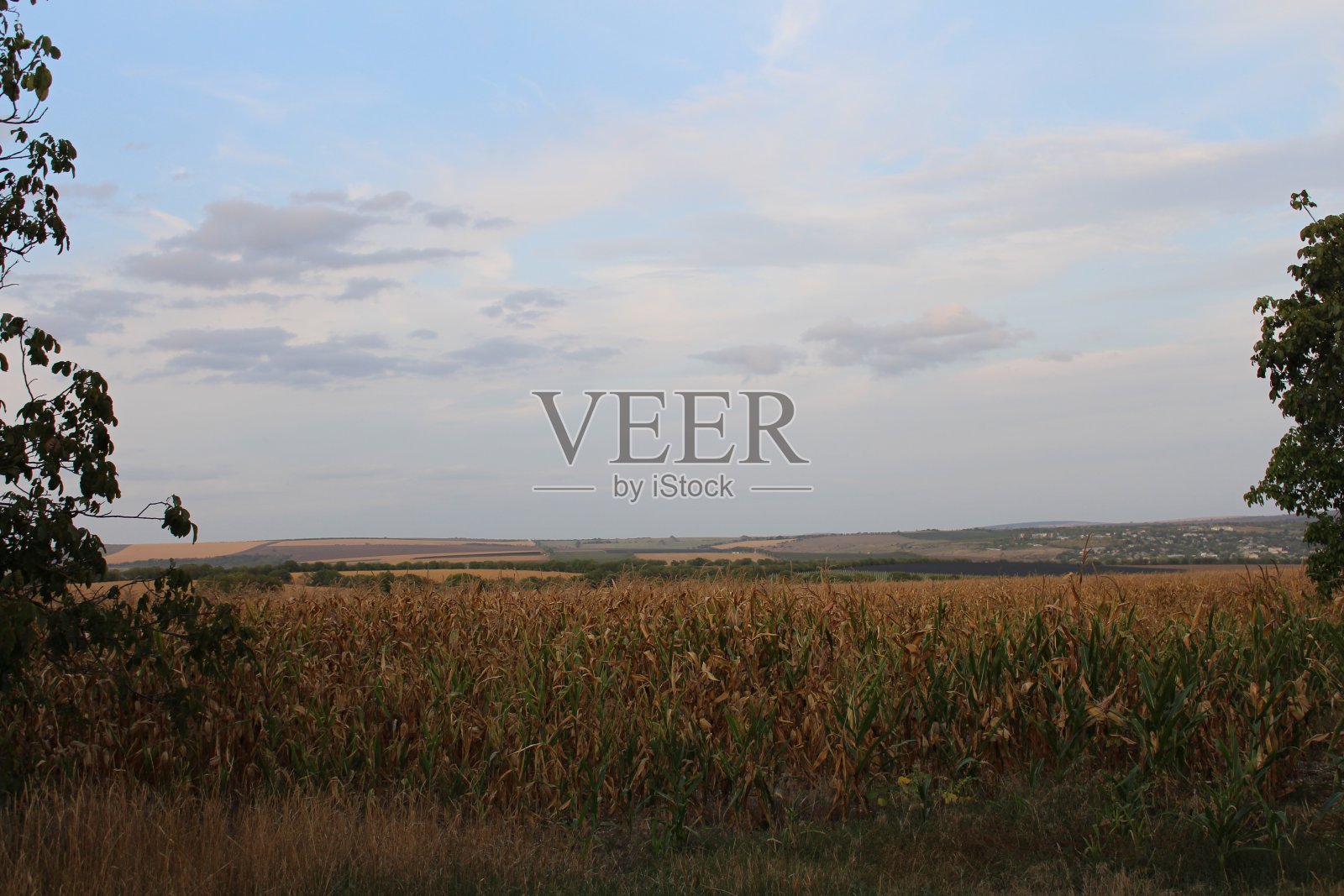 远处有一片草地和一片水域照片摄影图片